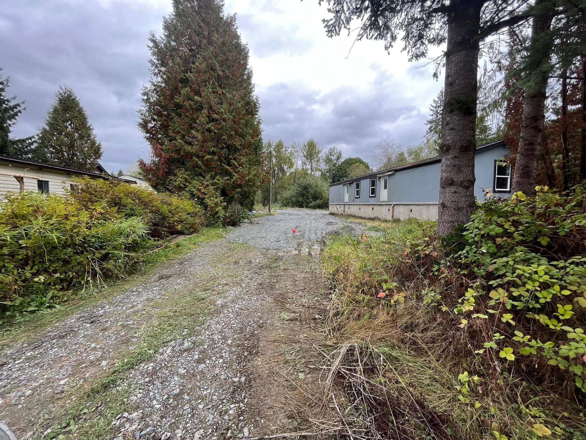 25511 Dewdney Trunk Road
