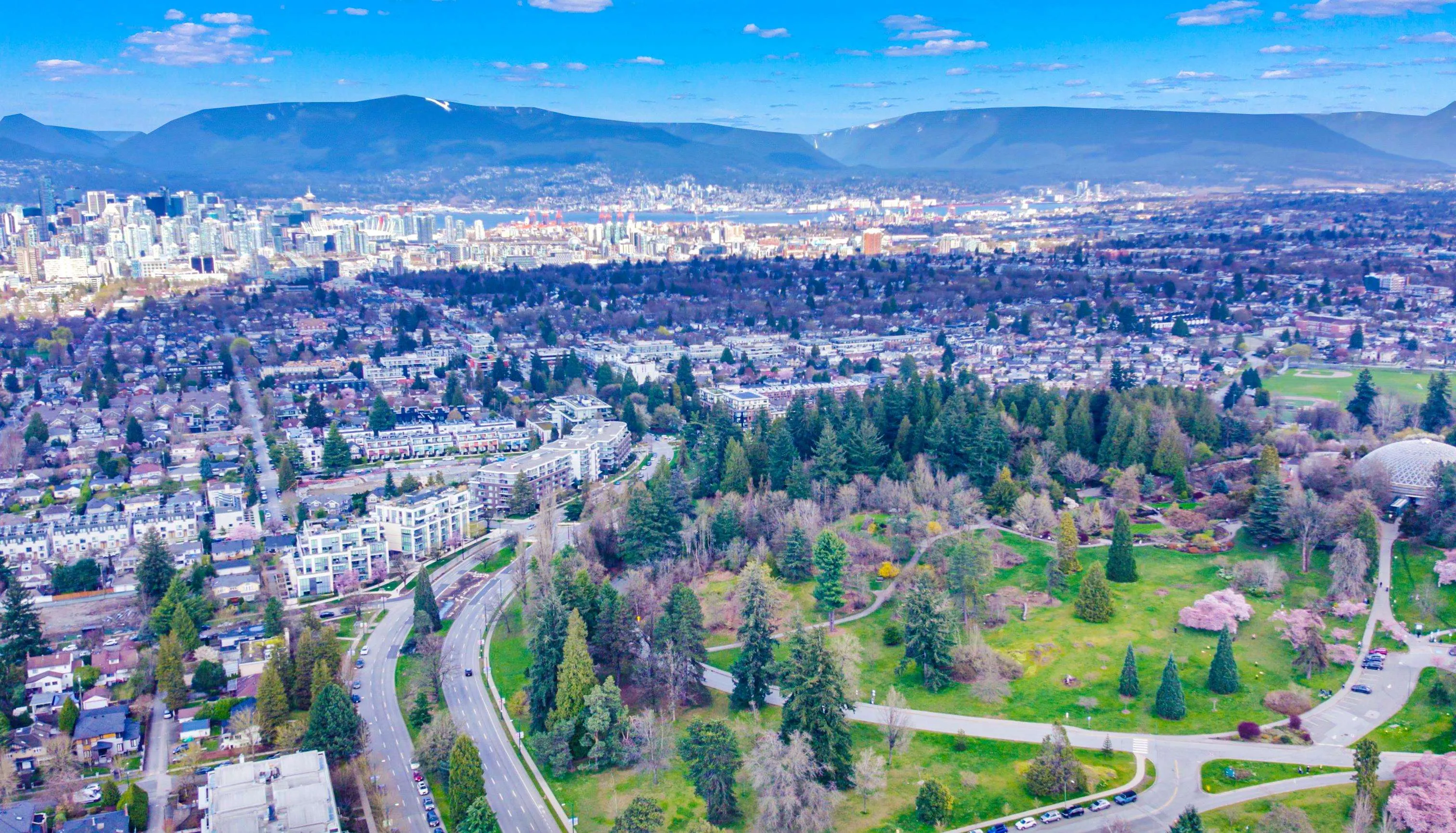 103 4932 Cambie Street