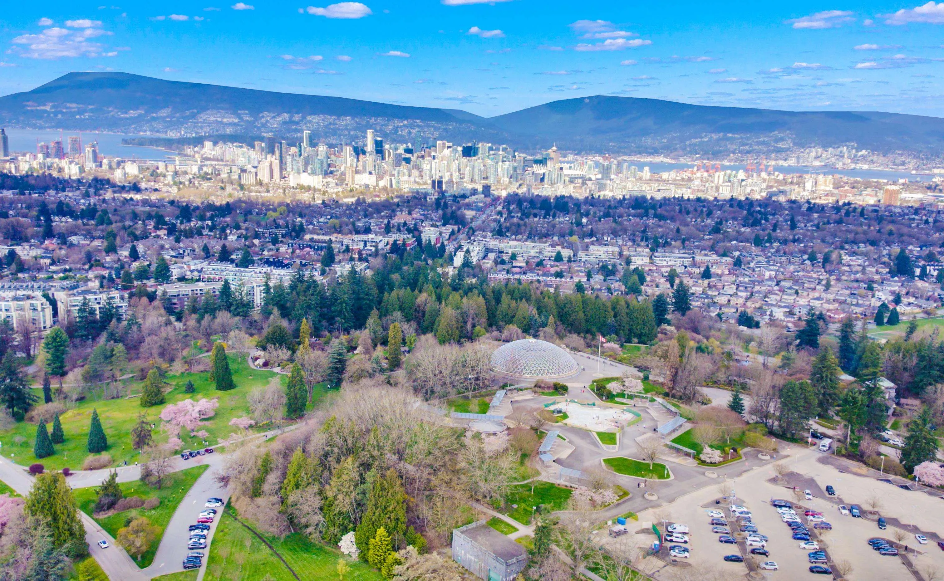 103 4932 Cambie Street
