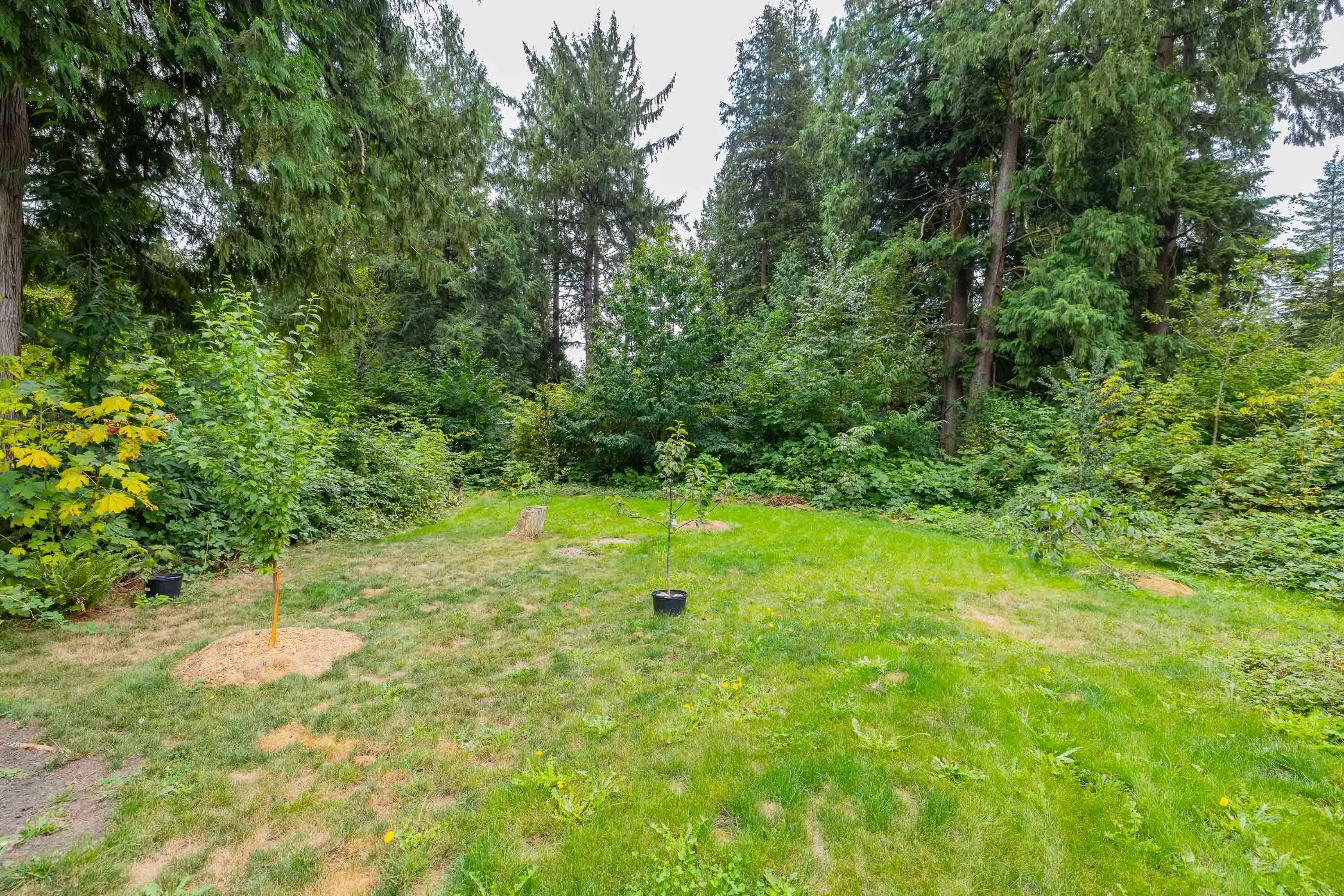 43685 Lougheed Highway
