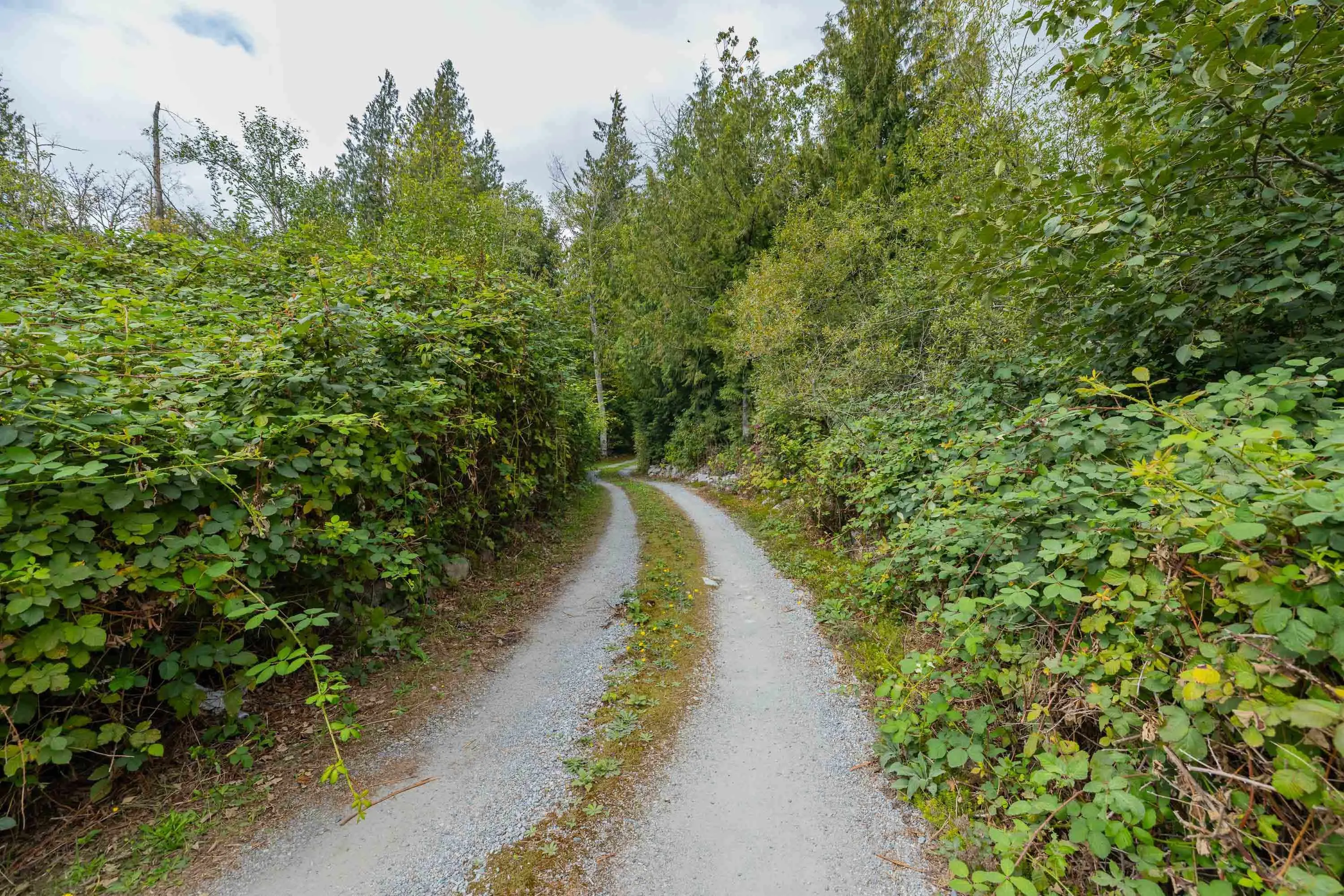 43685 Lougheed Highway