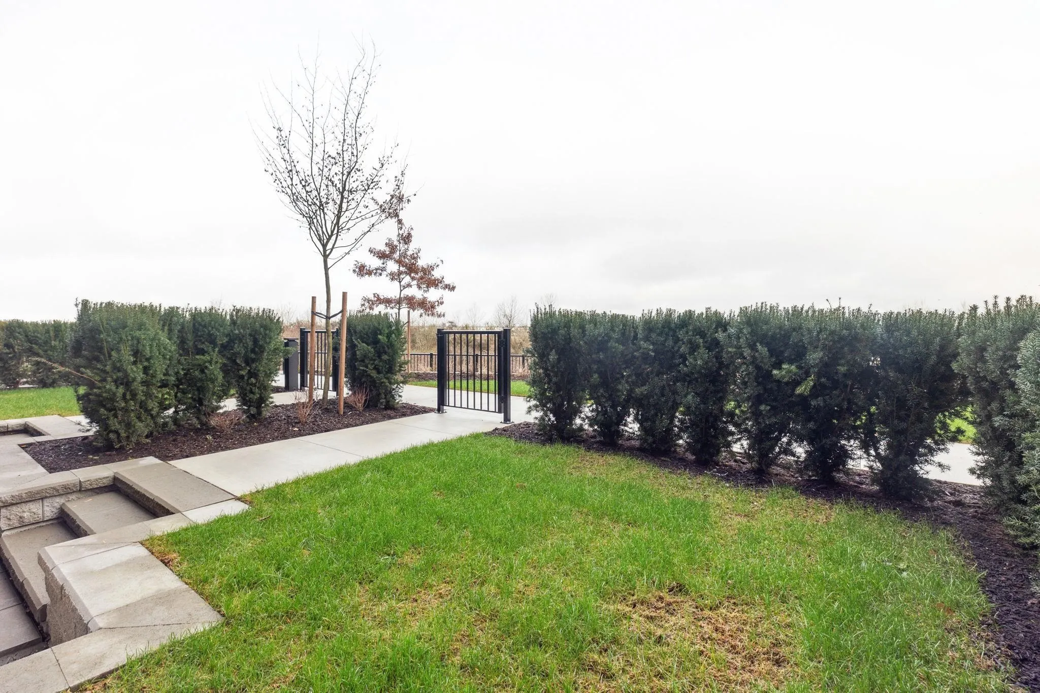 1XX 2499 Rabbit Drive
