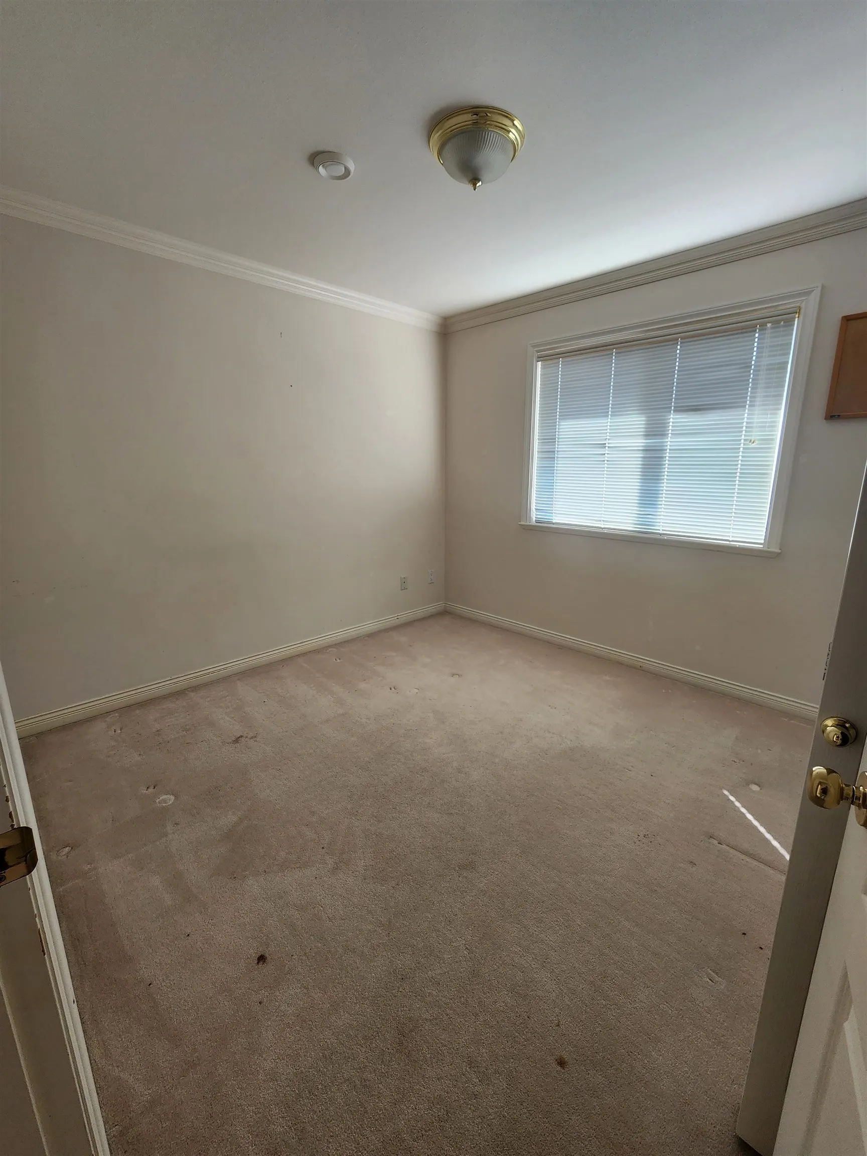 8280 Ryan Road