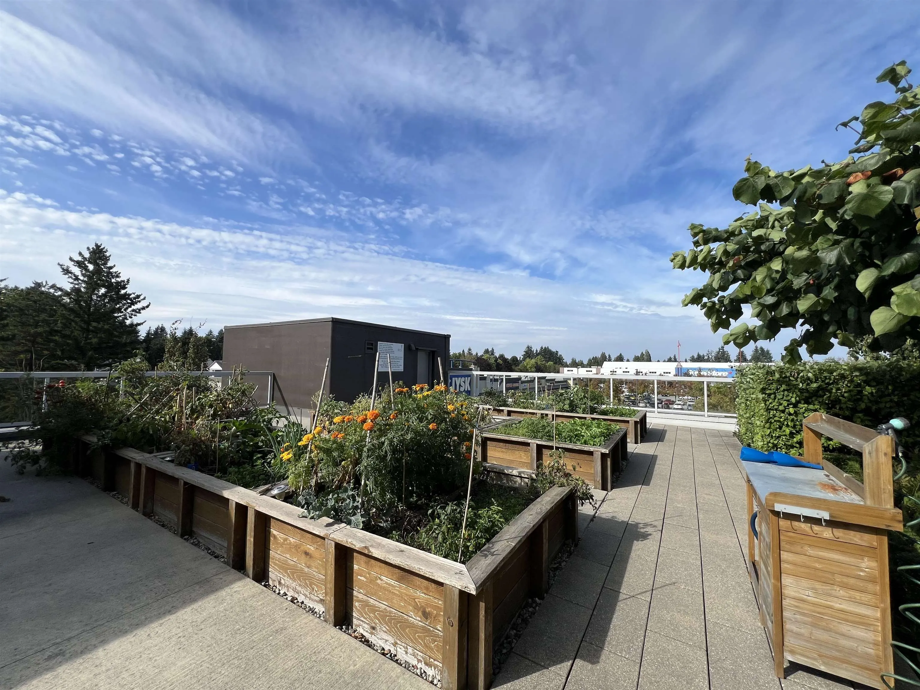 3305 11967 80 Avenue