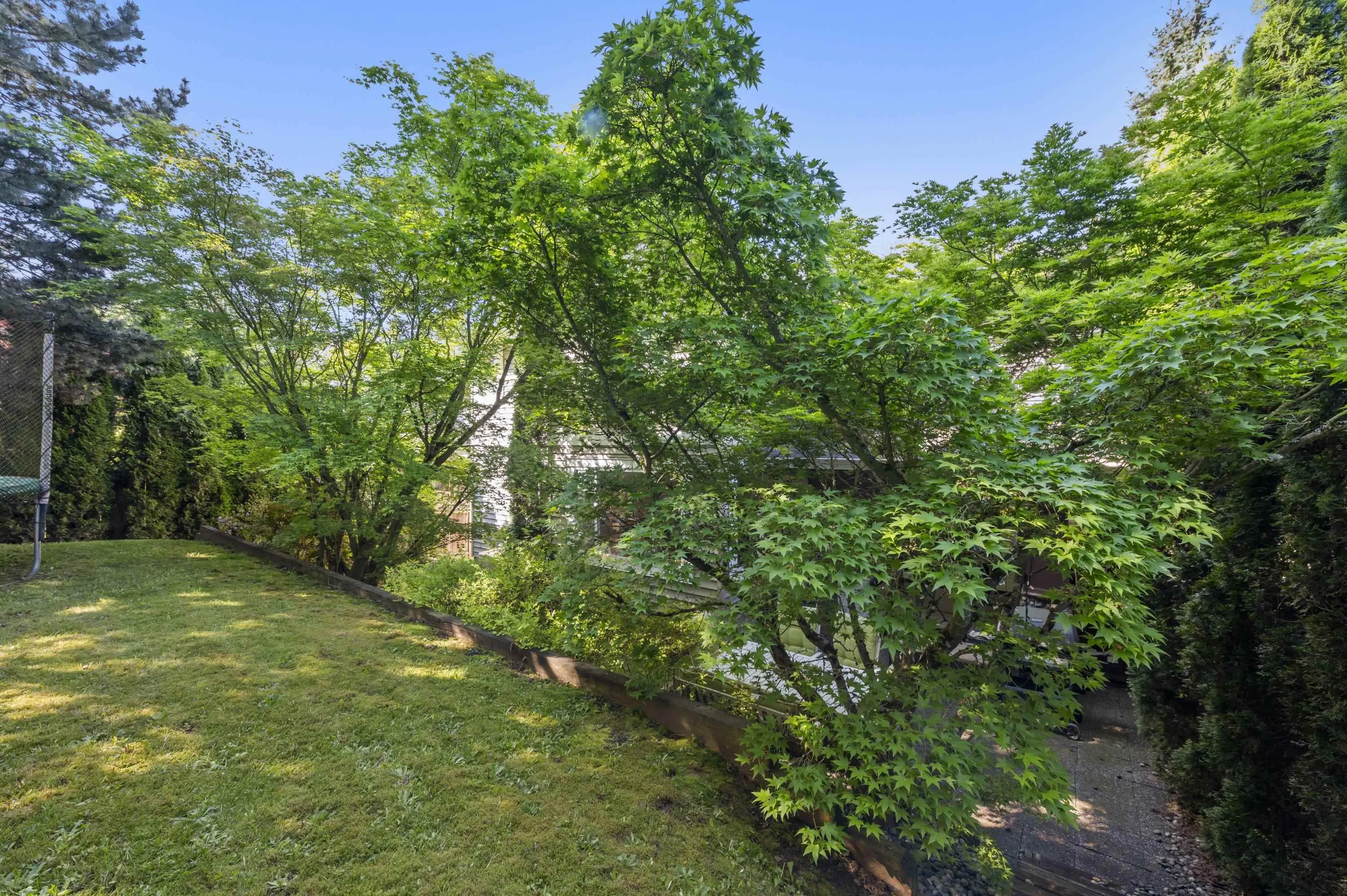 3320 Harvest Drive