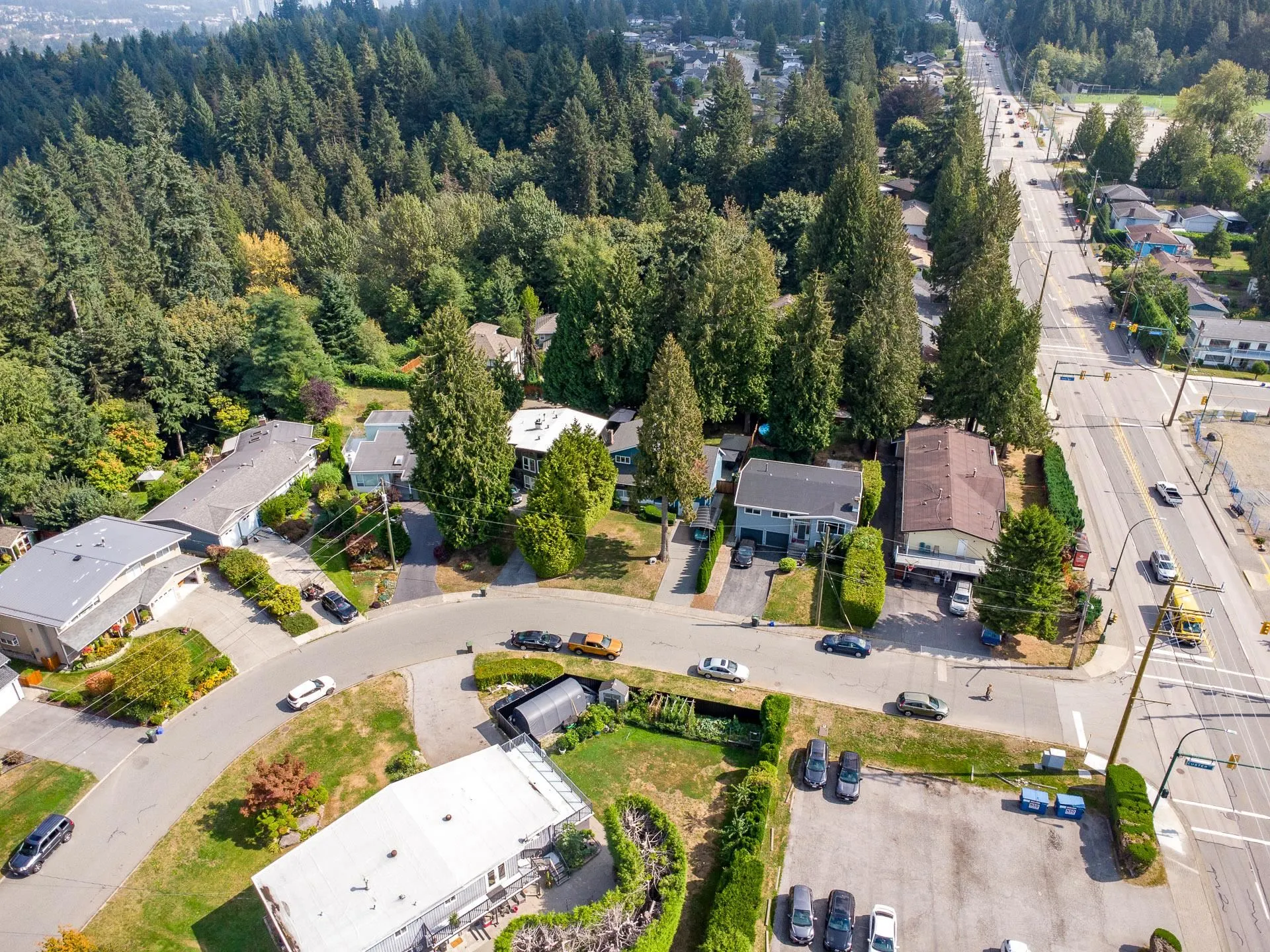 1987 Custer Court
