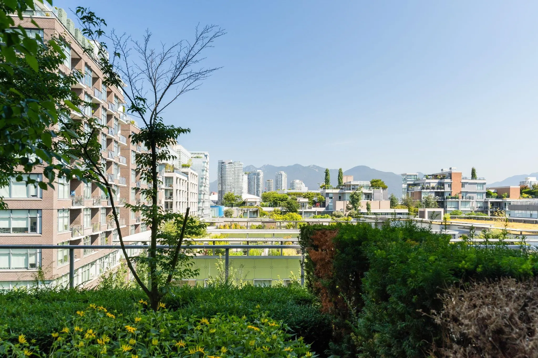 605 1708 Columbia Street