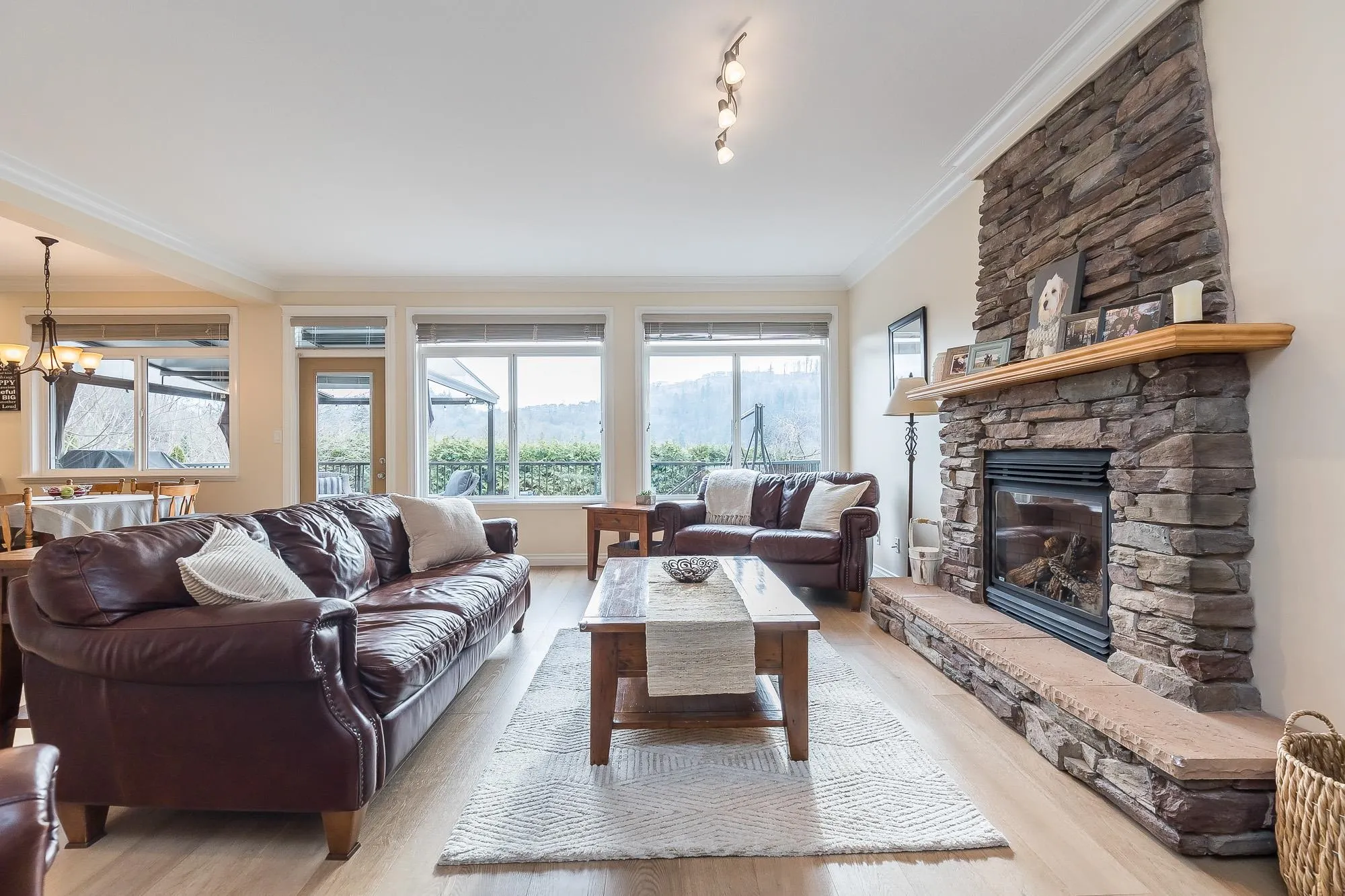 35562 Allison Court
