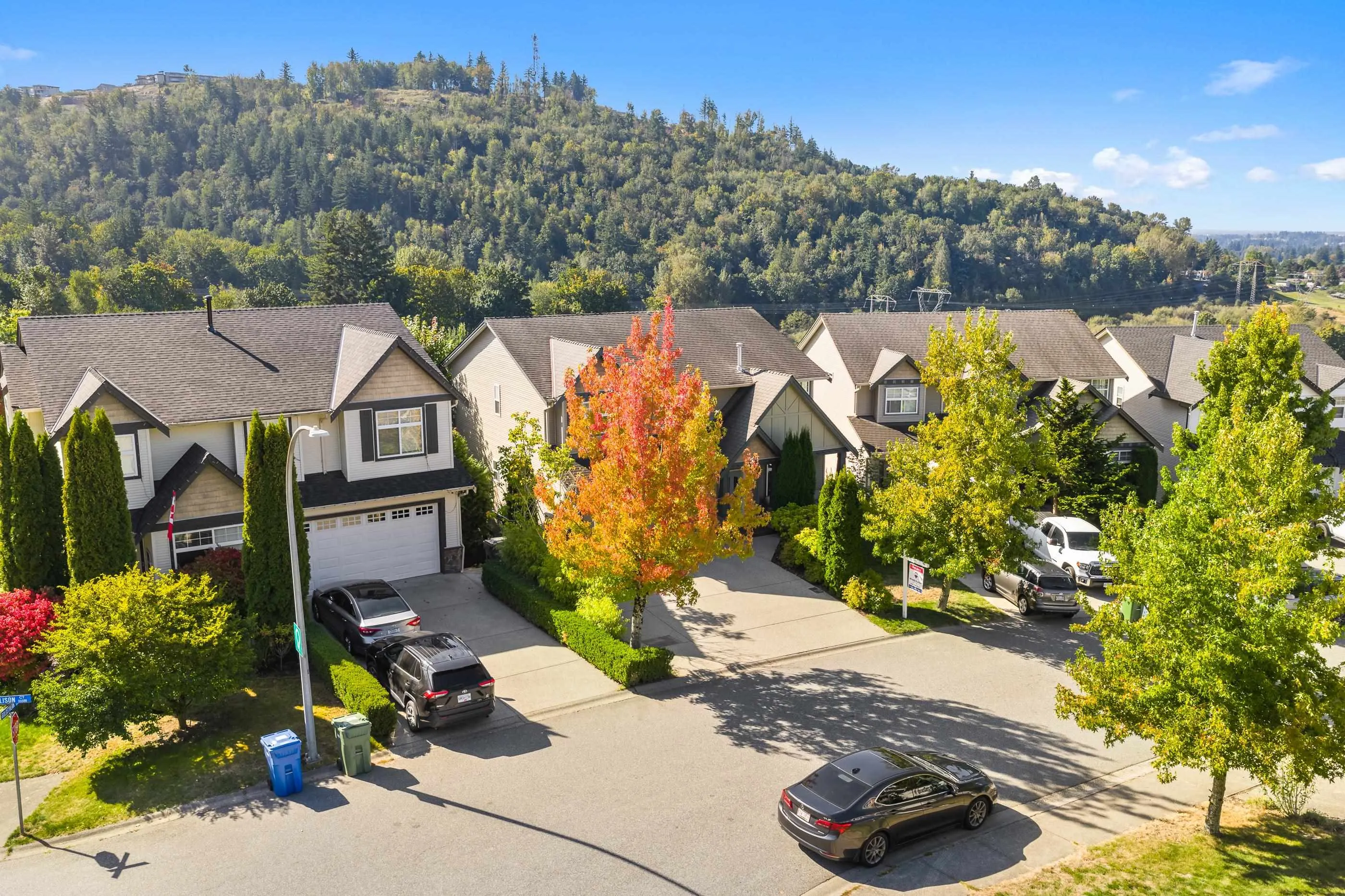 35562 Allison Court