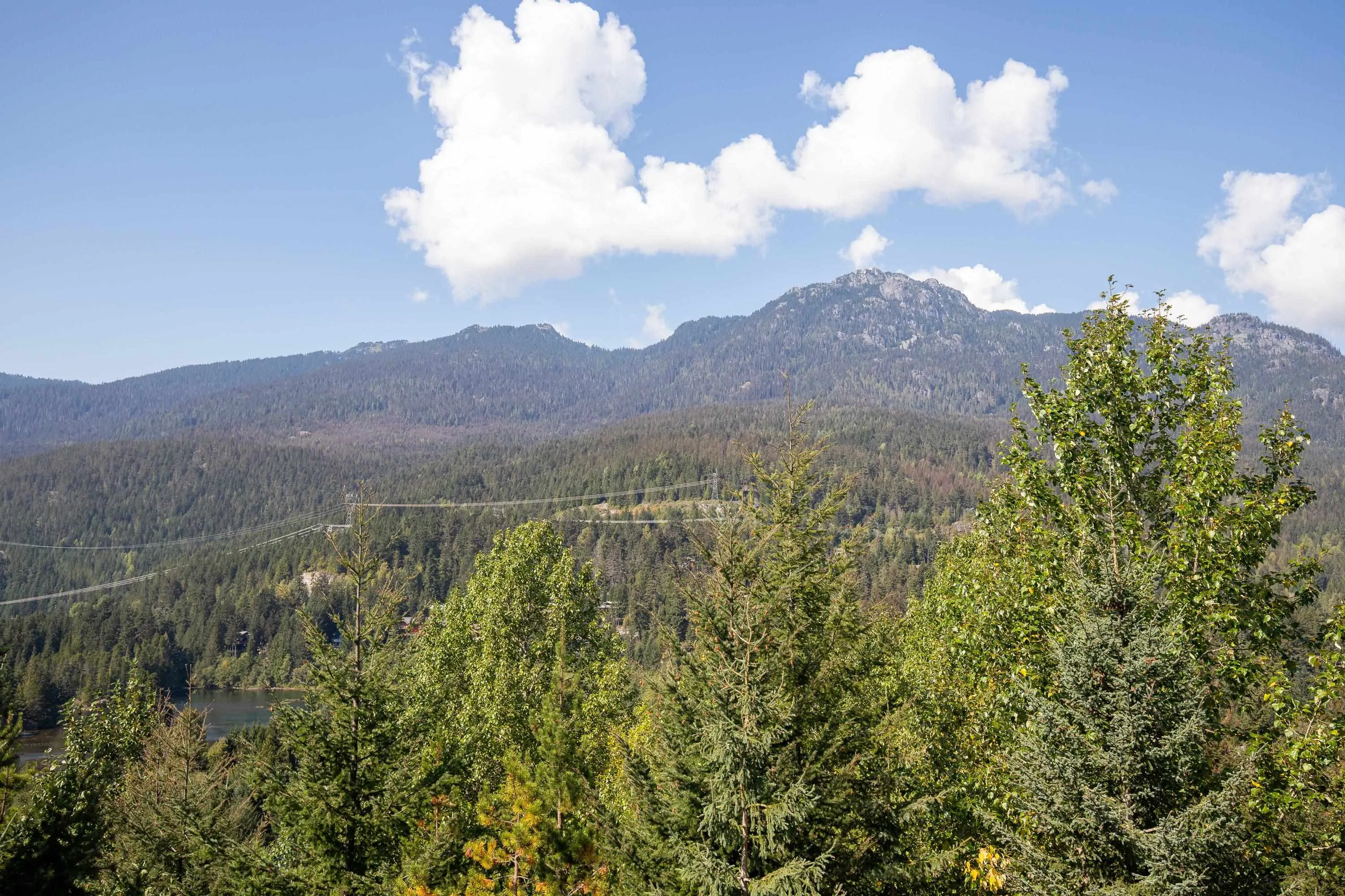 310 2221 Gondola Way