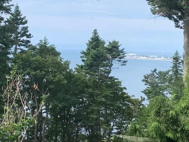 561 English Bluff Road