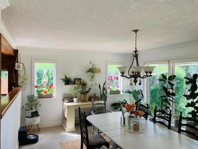 561 English Bluff Road