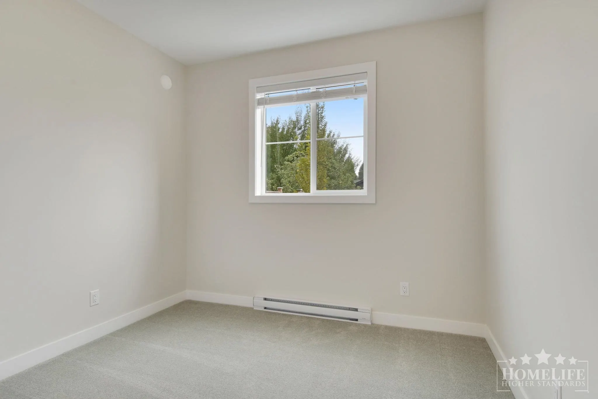 6 - Basement 46058 Bonny Avenue
