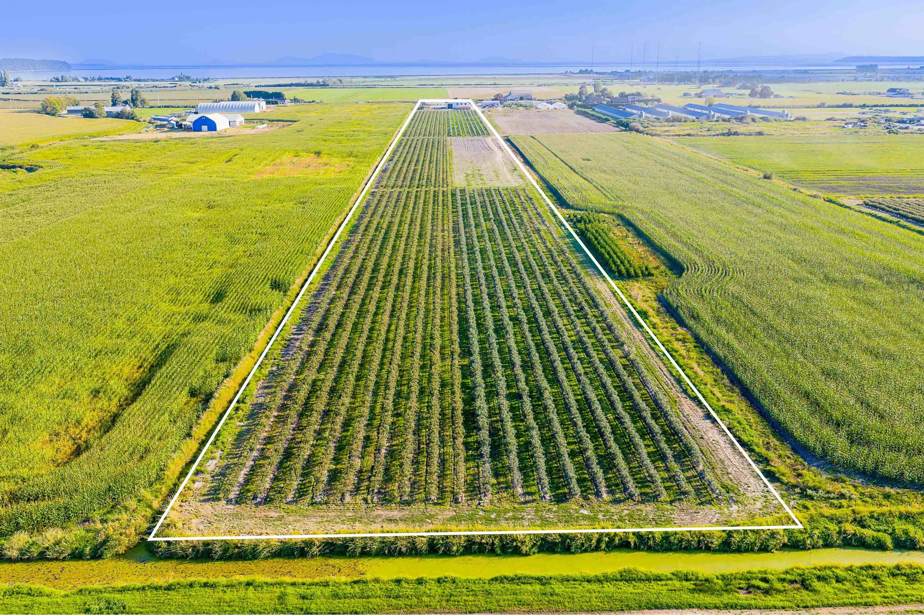 10677 Ladner Trunk Road