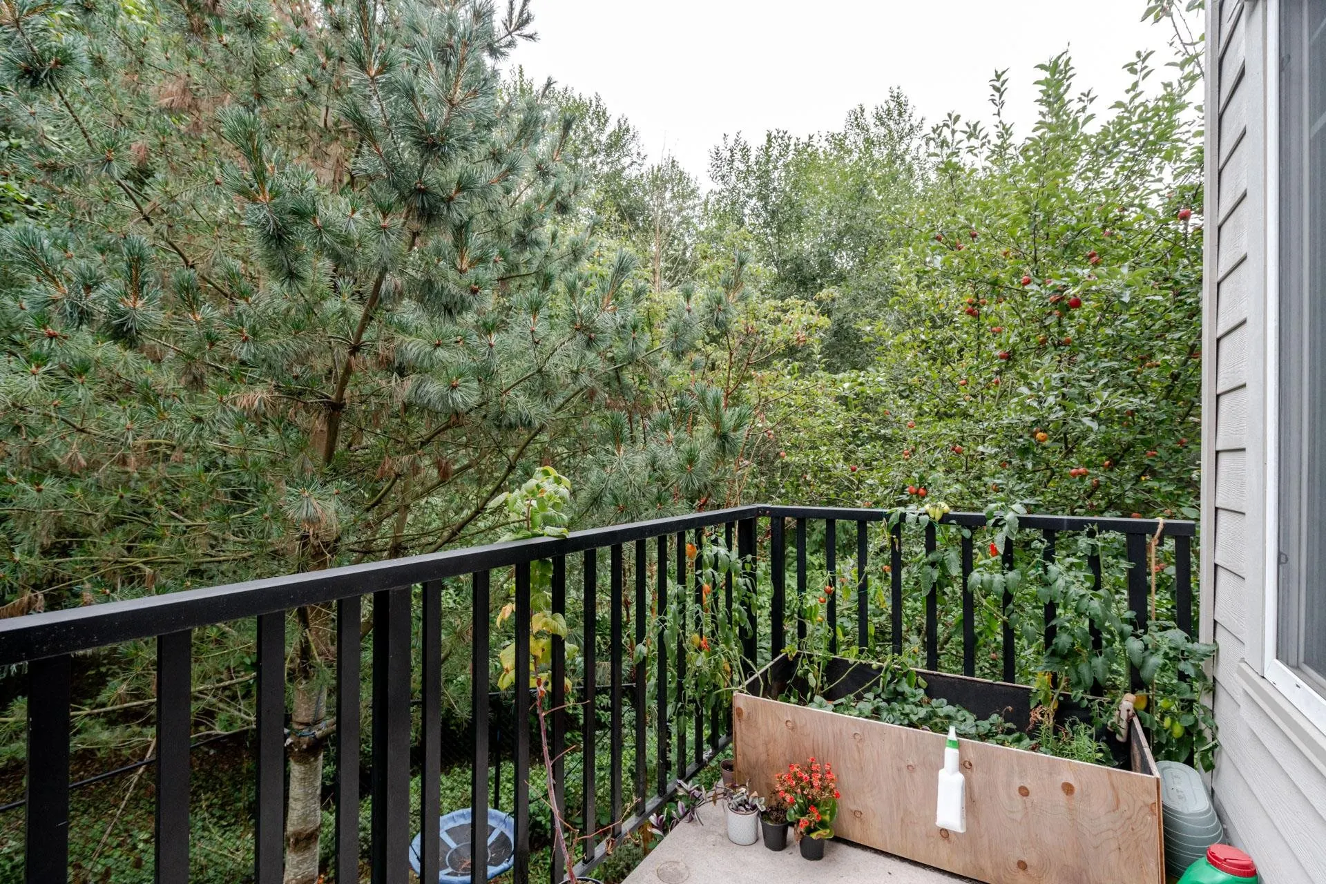 106 15399 Guildford Drive