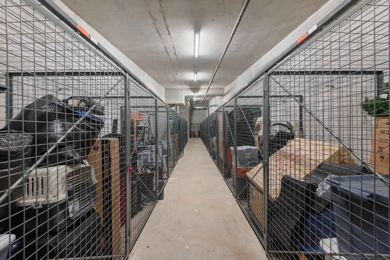 203 1919 Wylie Street