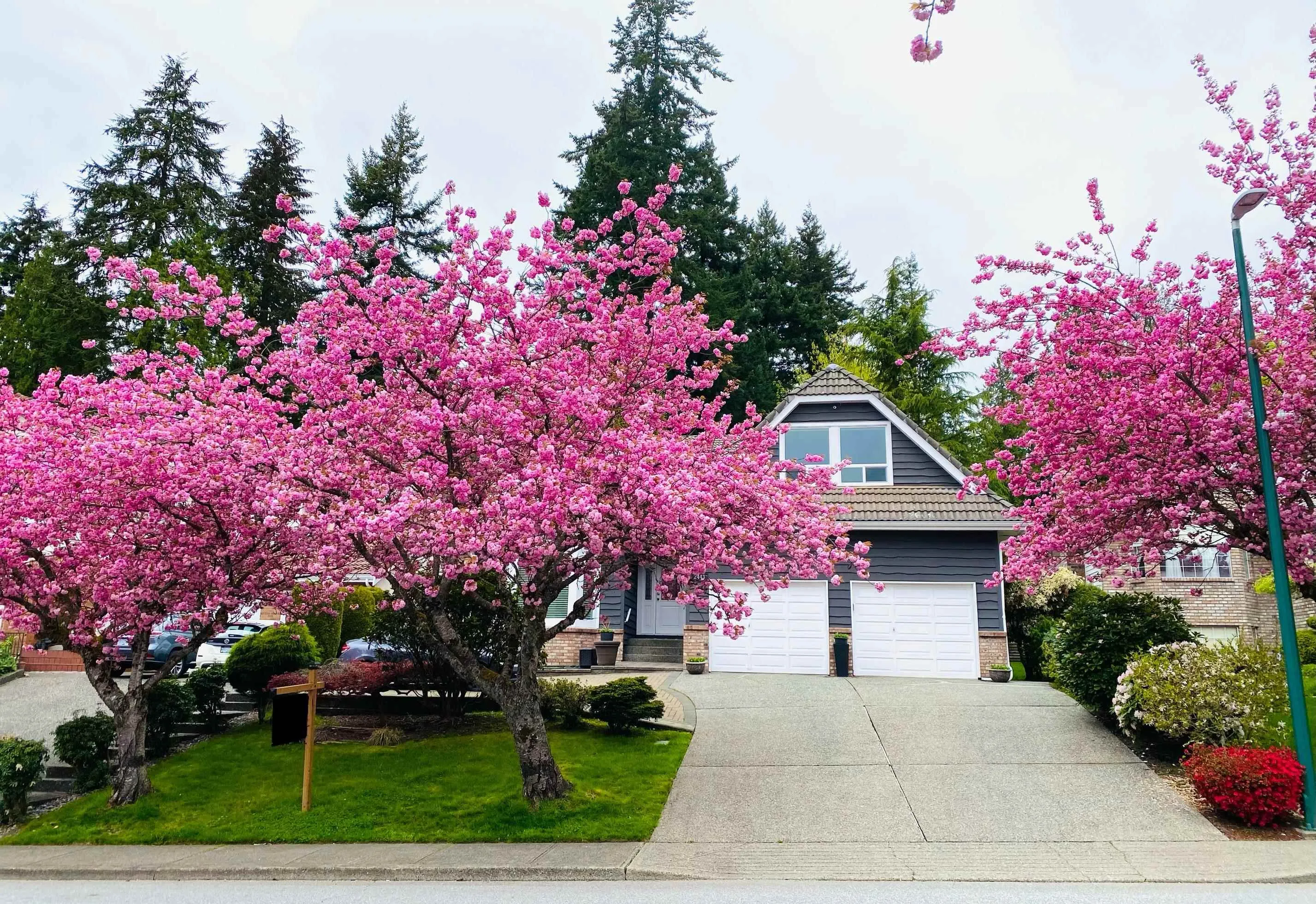 2443 Leclair Drive