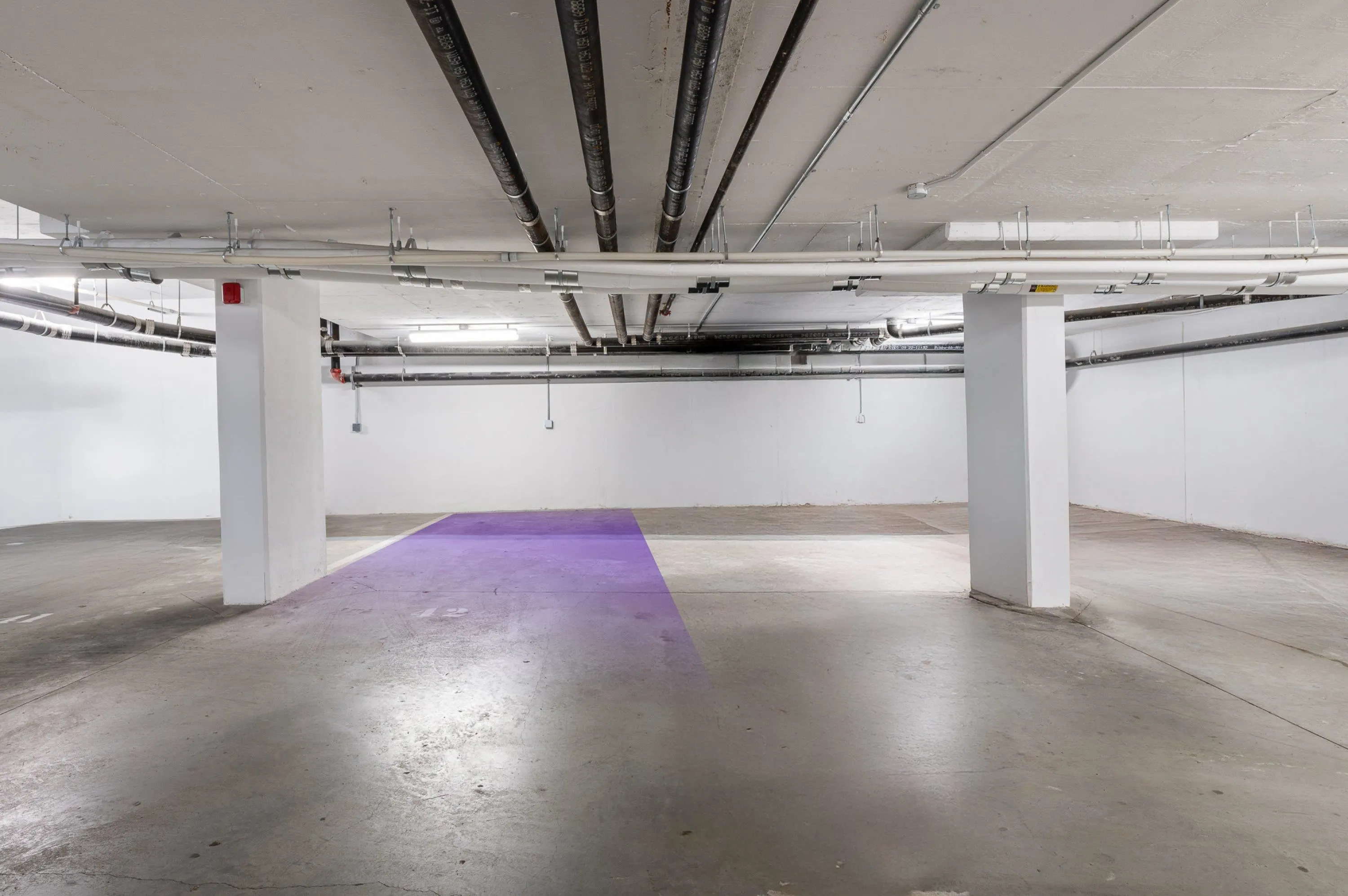 101 11718 224 Street