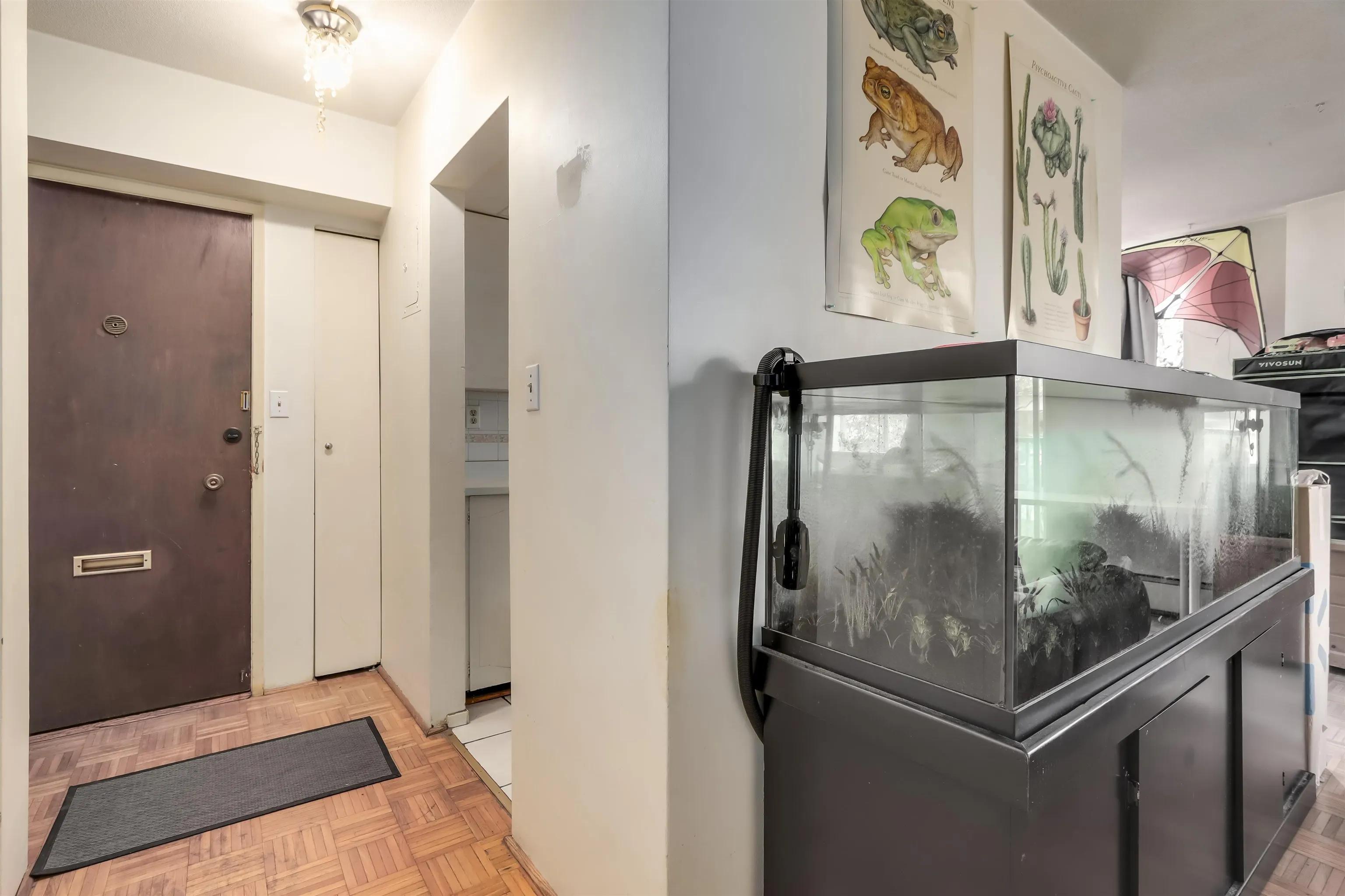 201 1251 Cardero Street