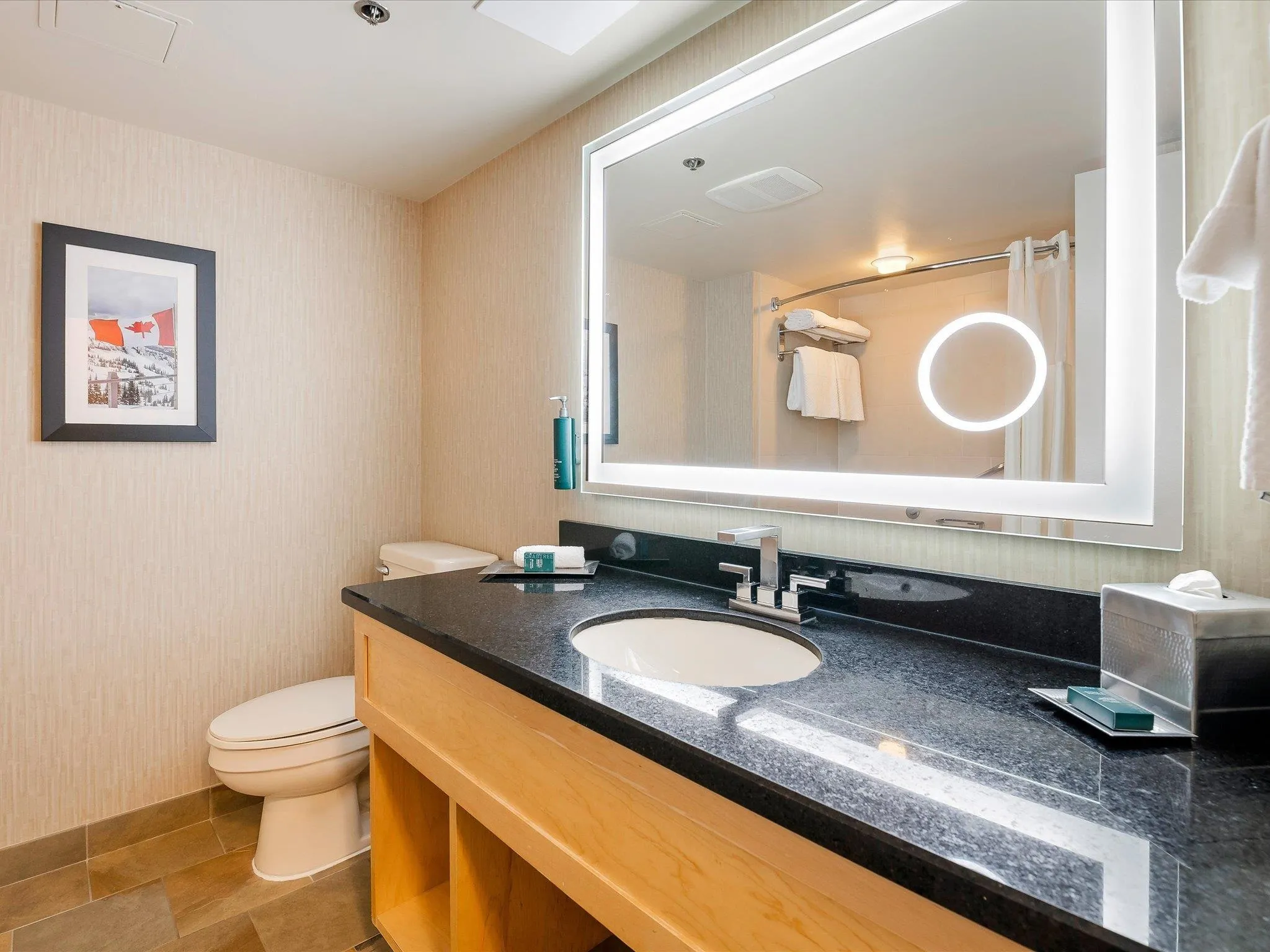 161 4050 Whistler Way