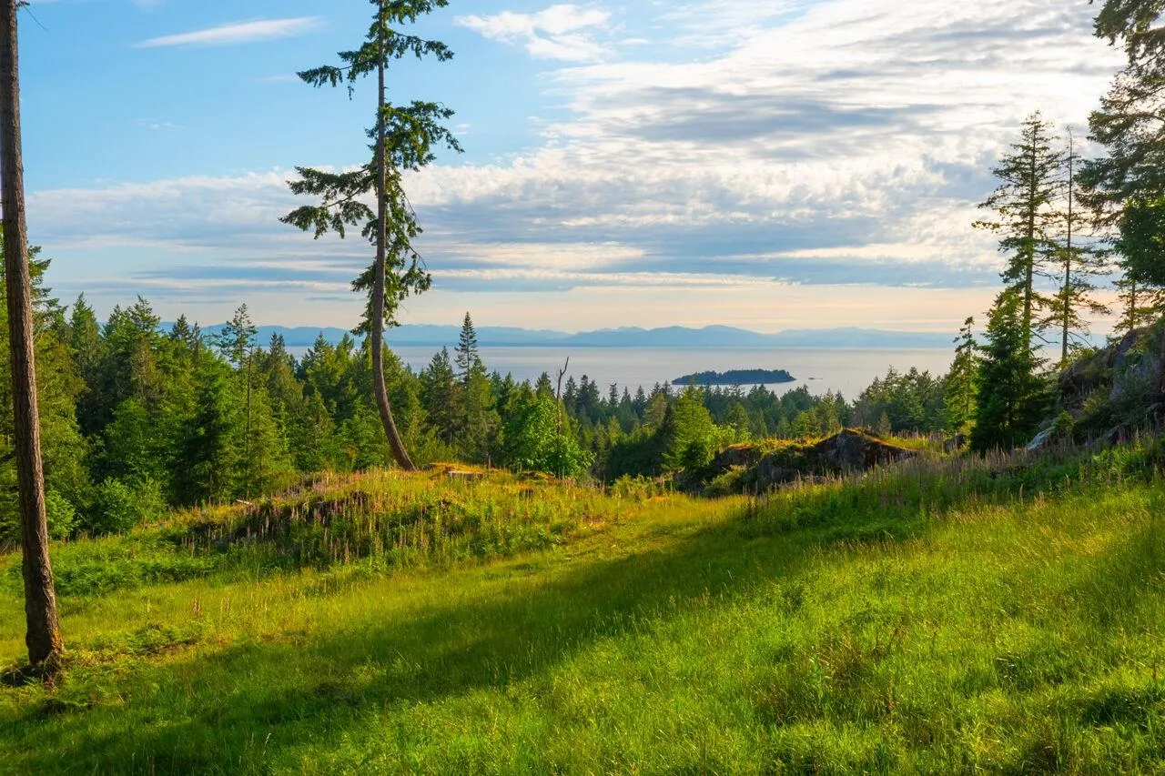 Lot 2 Innisfree Lane