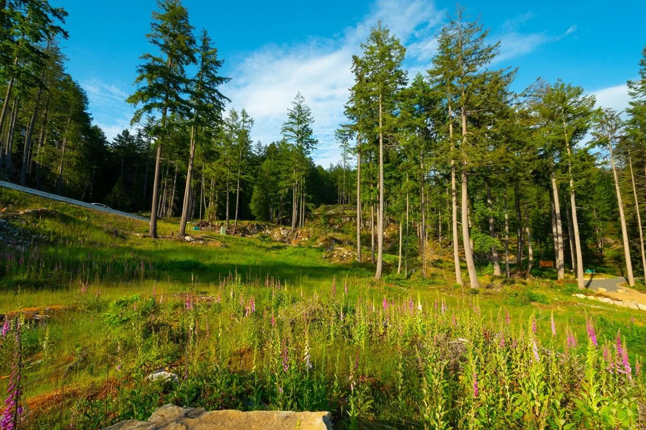 Lot 2 Innisfree Lane
