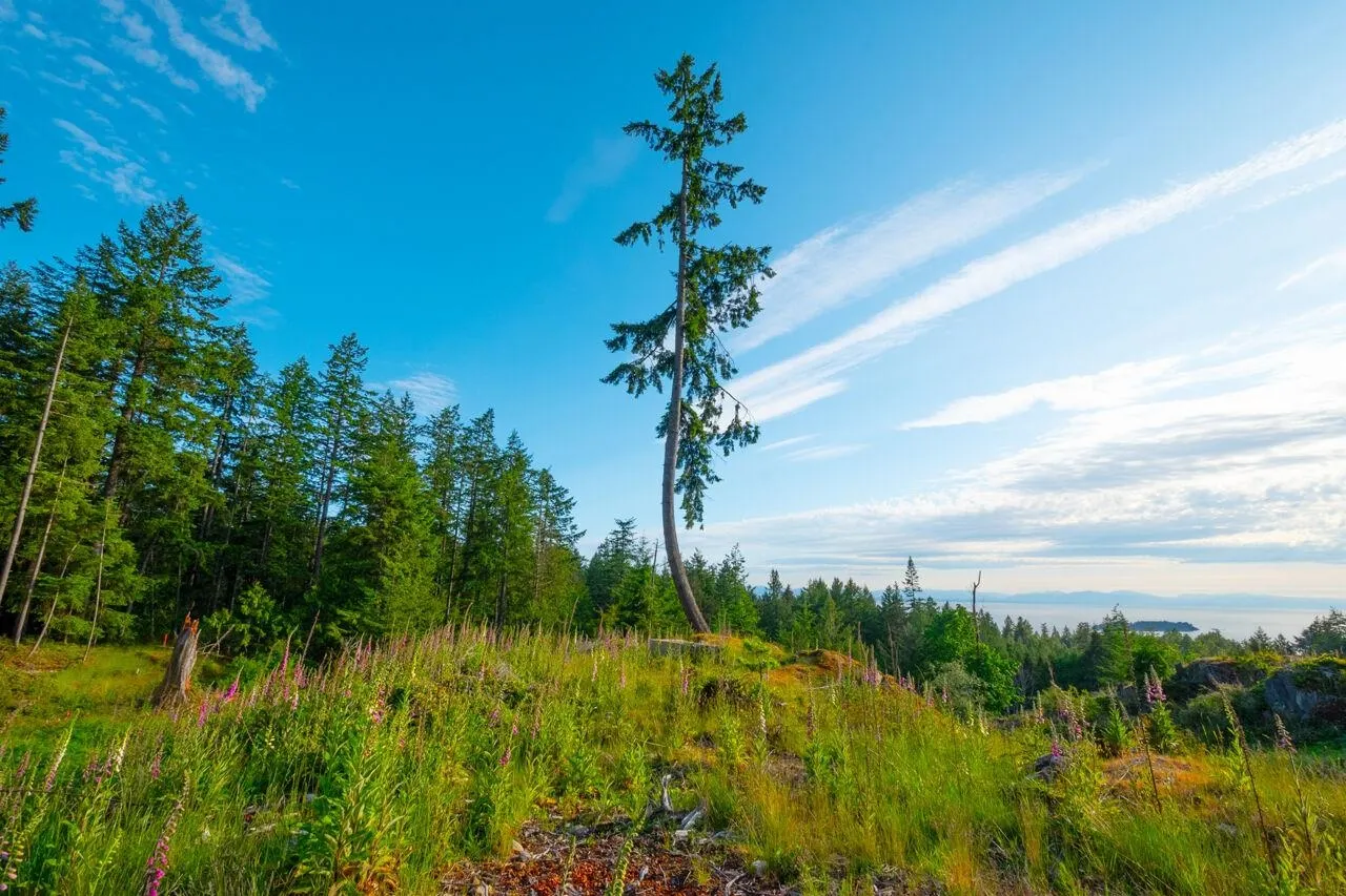 Lot 2 Innisfree Lane