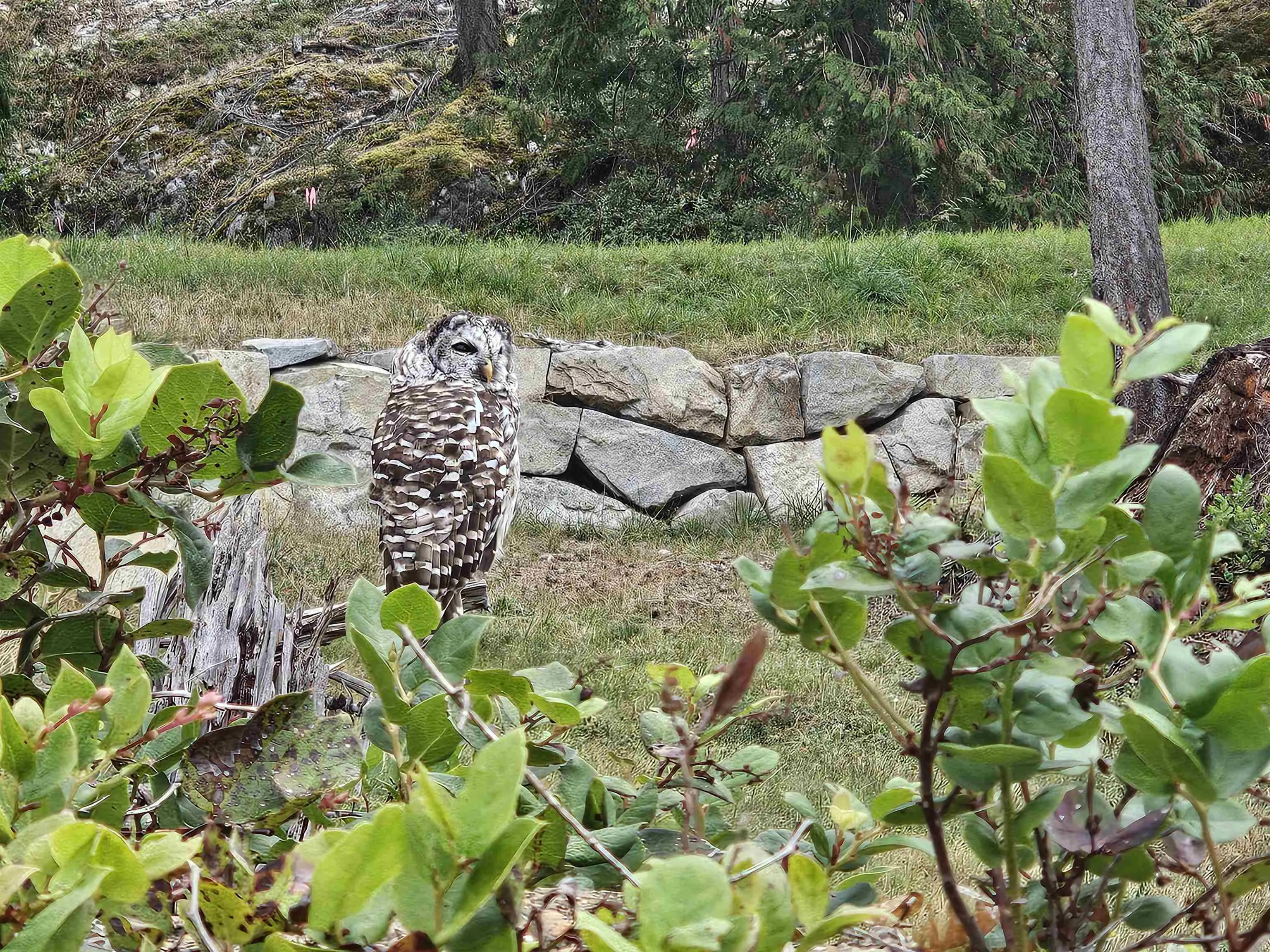 Lot 6 Innisfree Lane