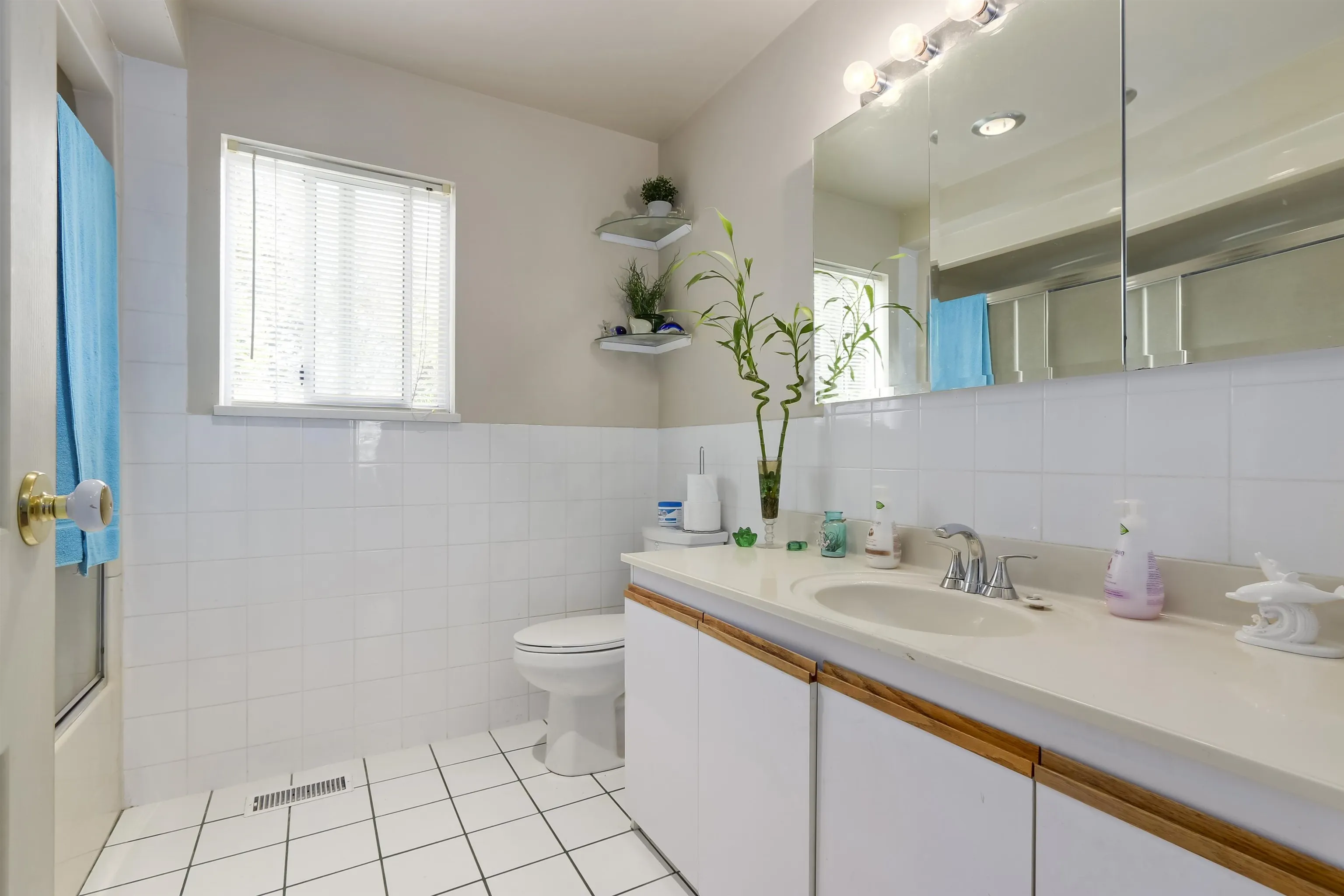 10640 Skagit Drive