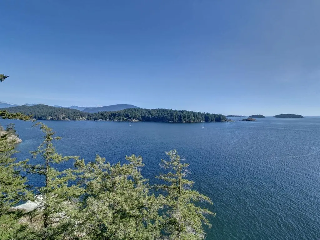 264 Arbutus Reach