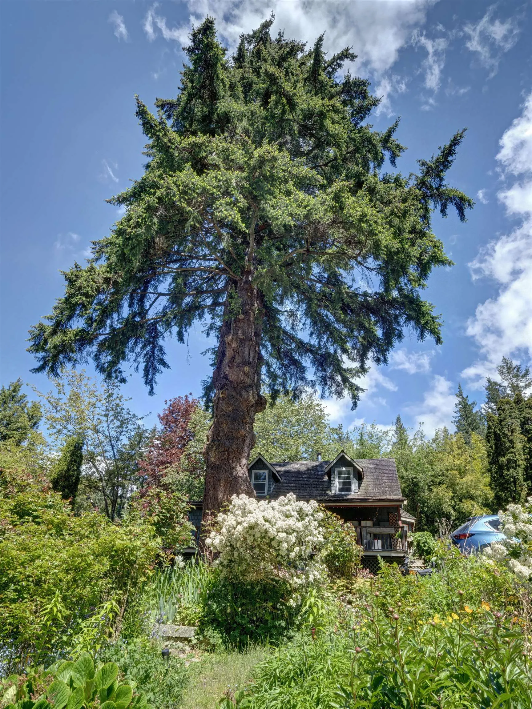2602 Lower Road