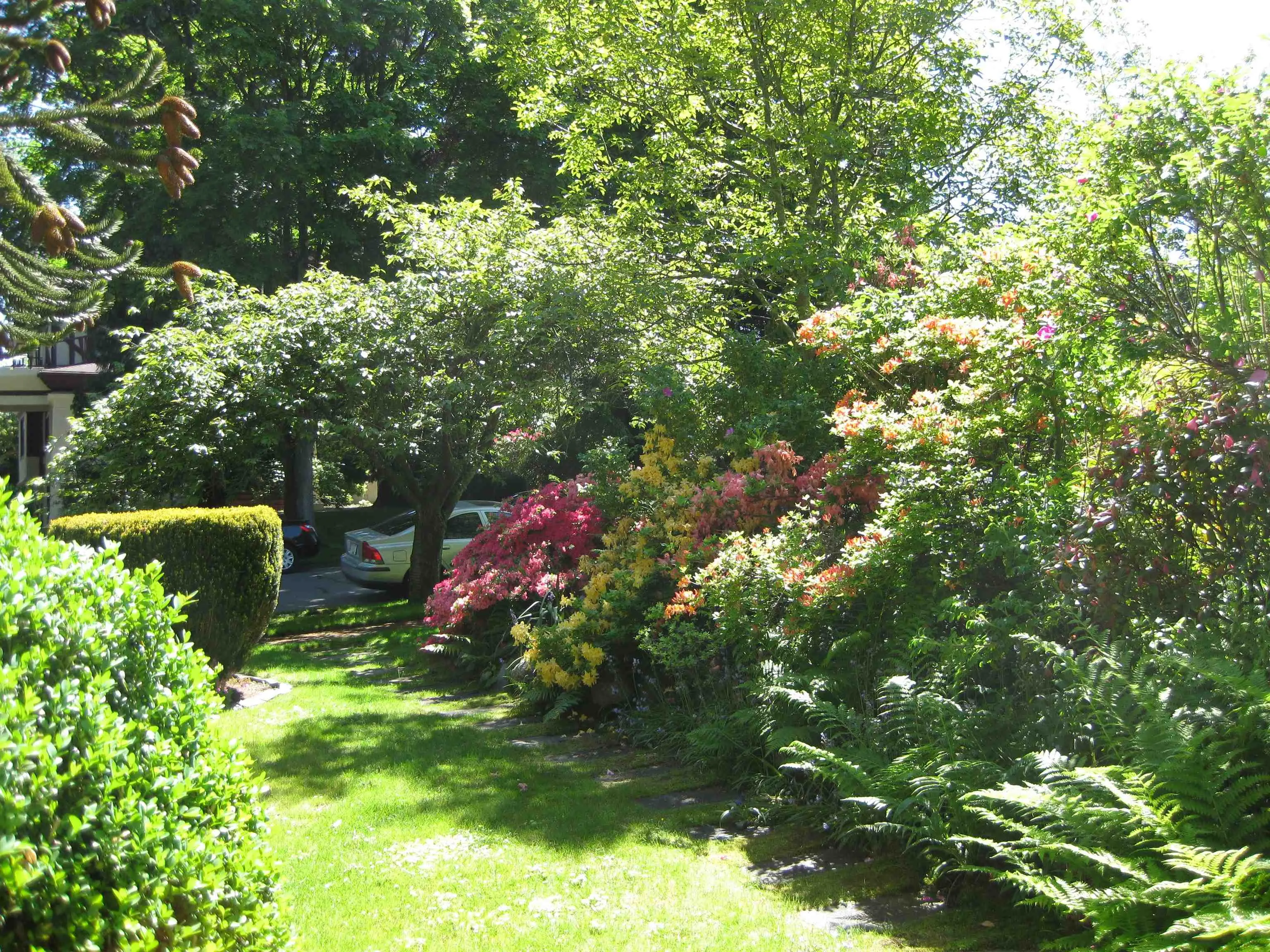 4825 Connaught Drive