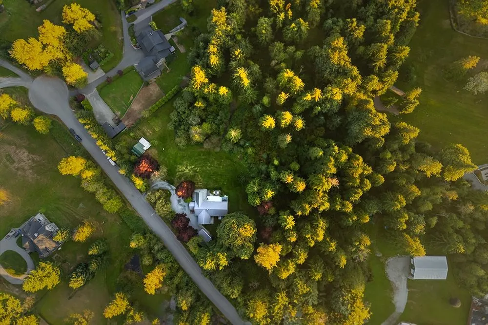 34520 Timbercove Road