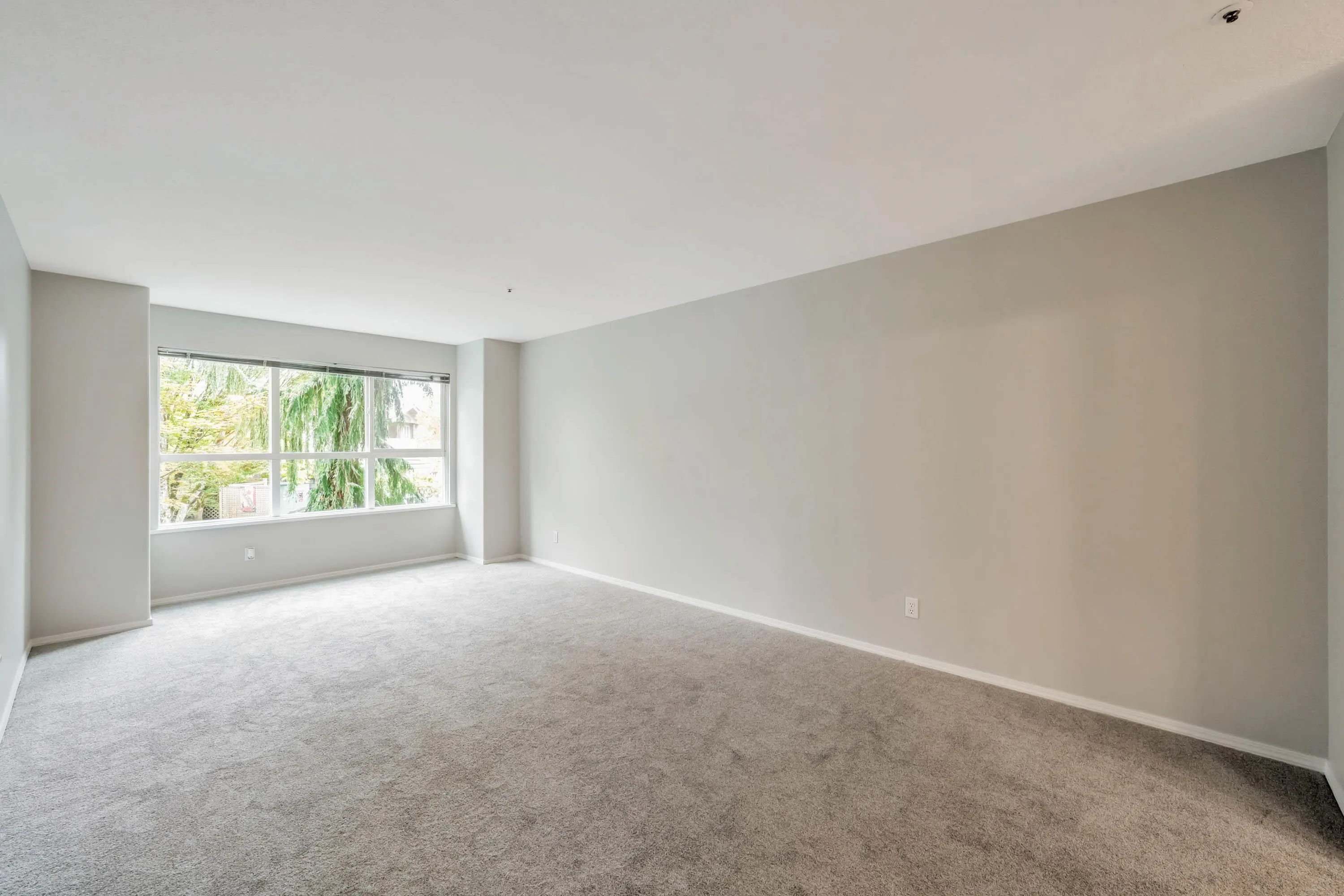 202 13870 70 Avenue