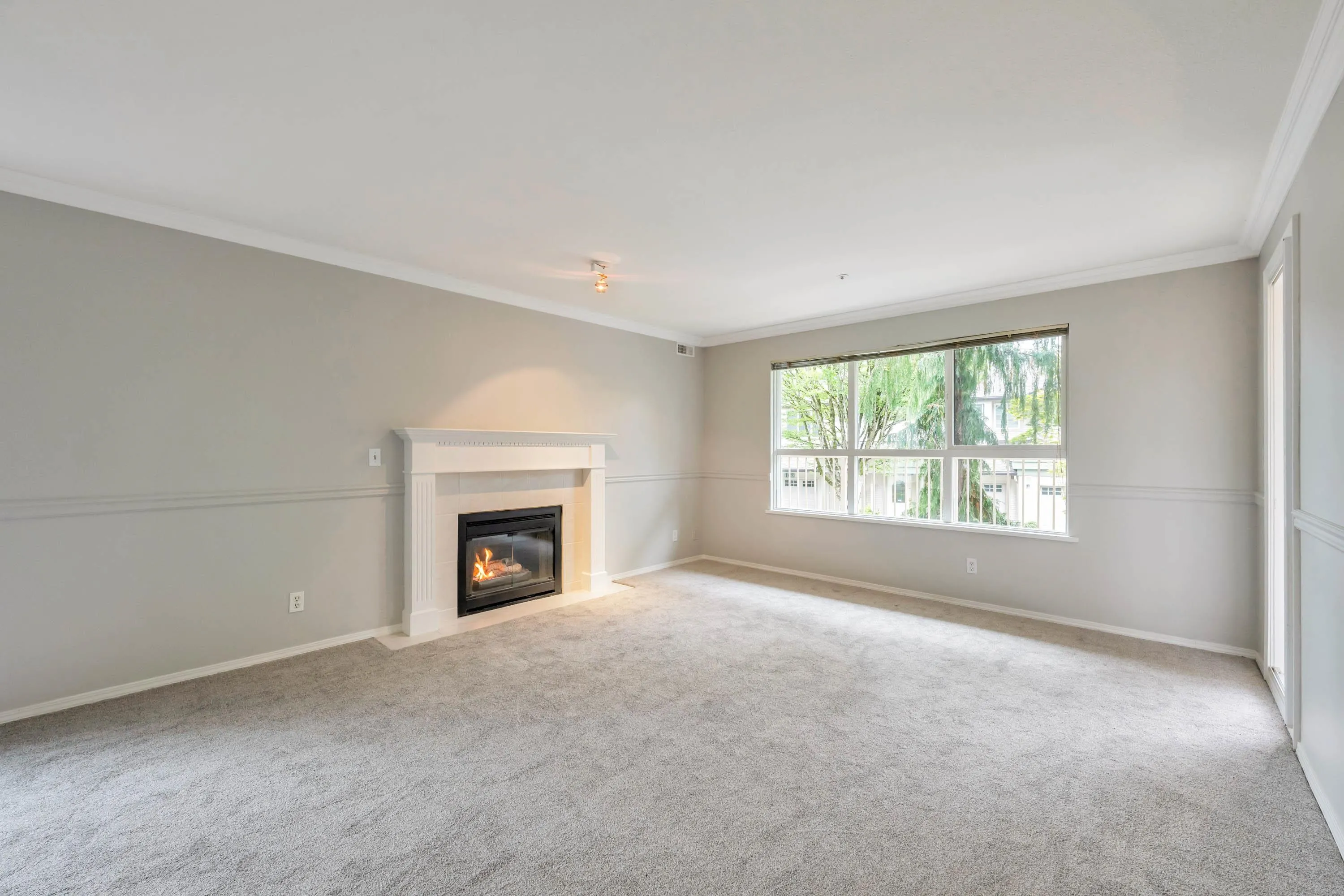 202 13870 70 Avenue