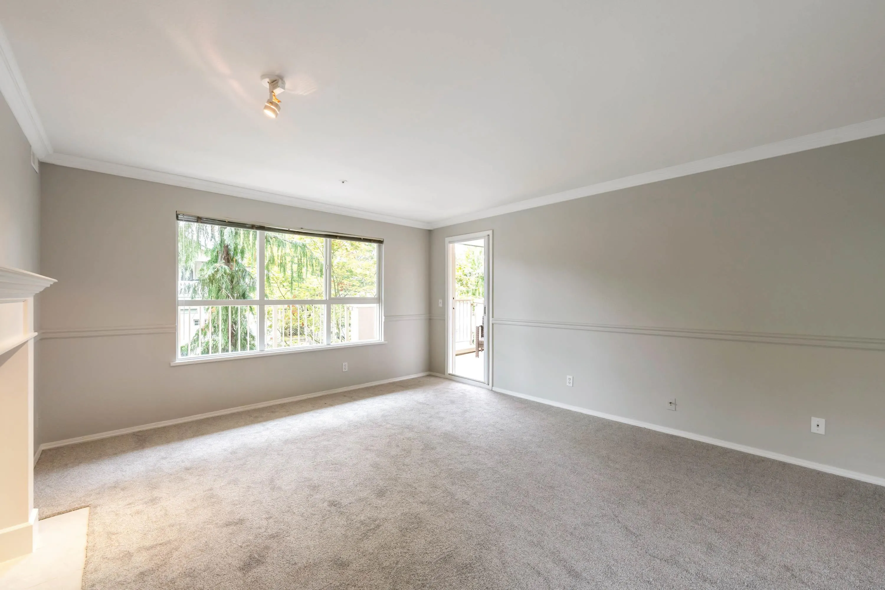 202 13870 70 Avenue