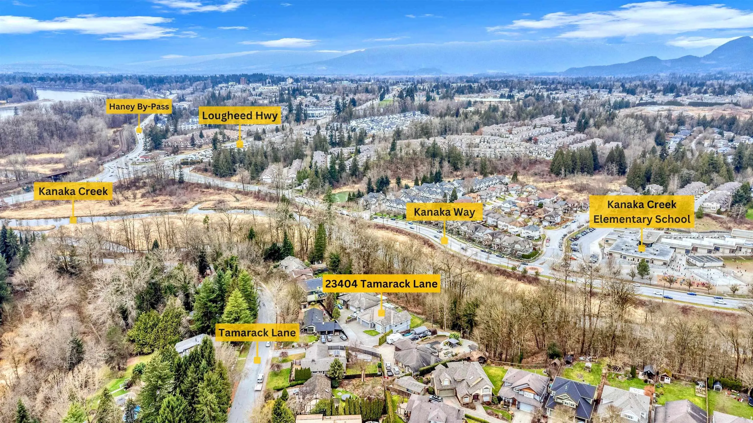 23404 Tamarack Lane