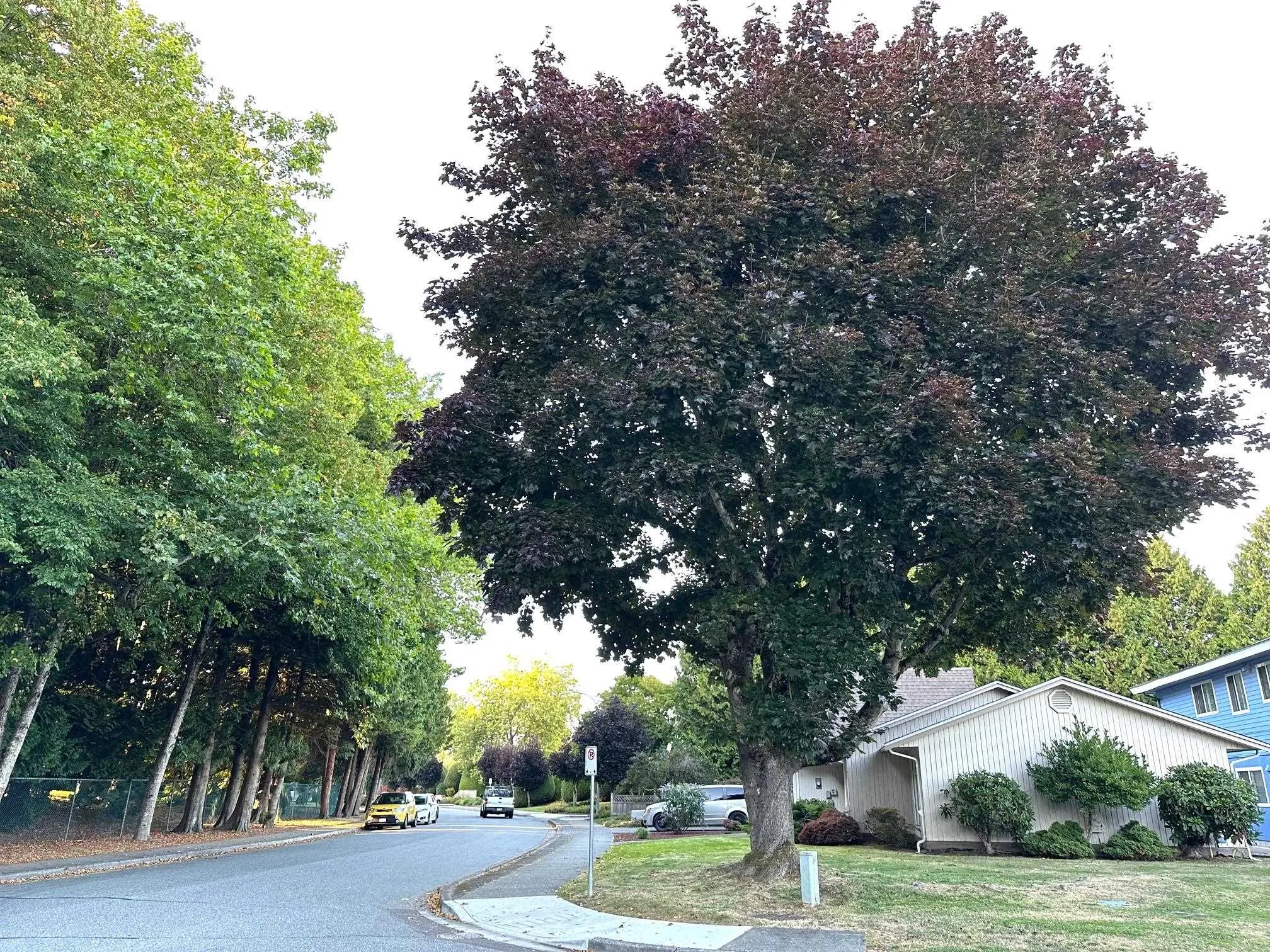 9360 Parksville Drive