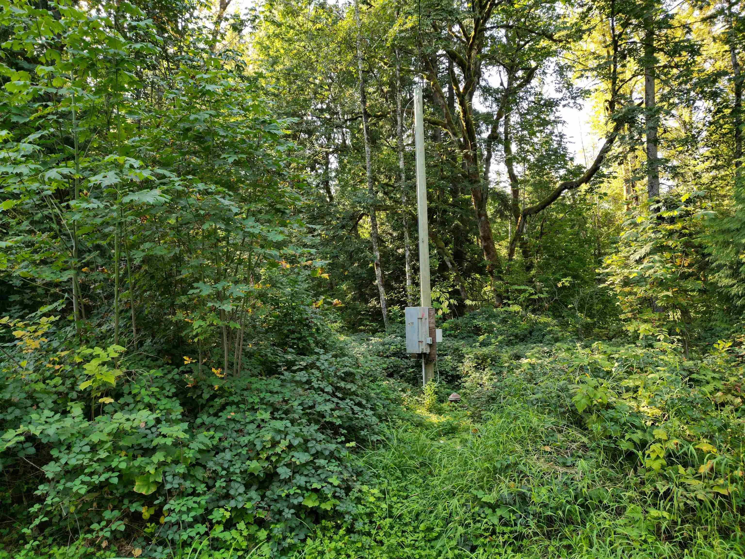 Lot 5 116 Avenue