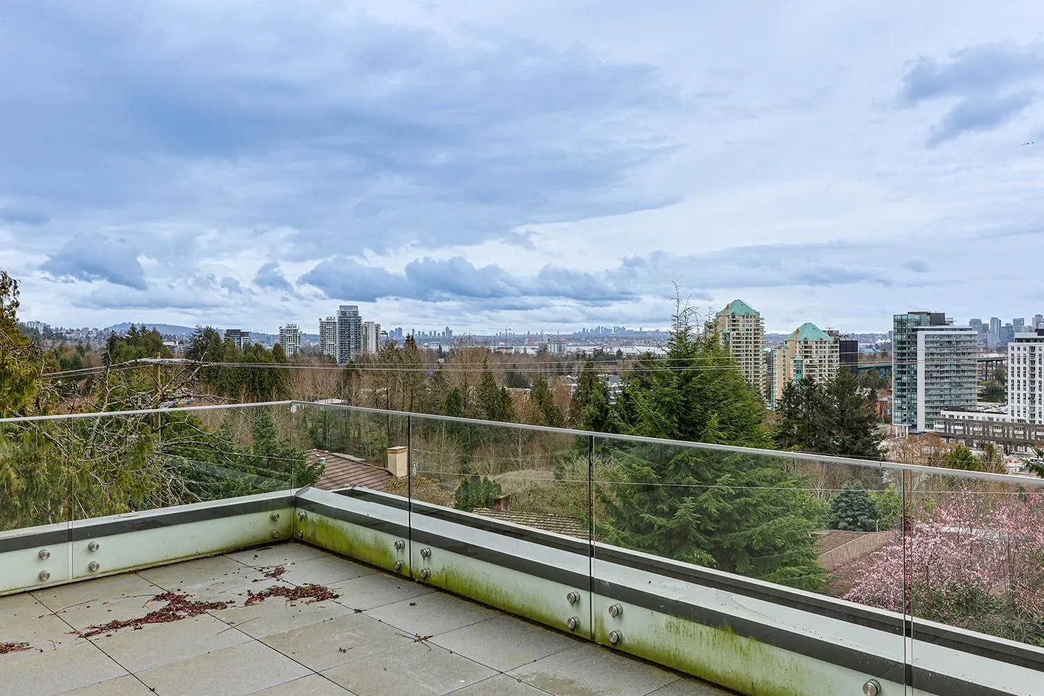 808 Esquimalt Avenue