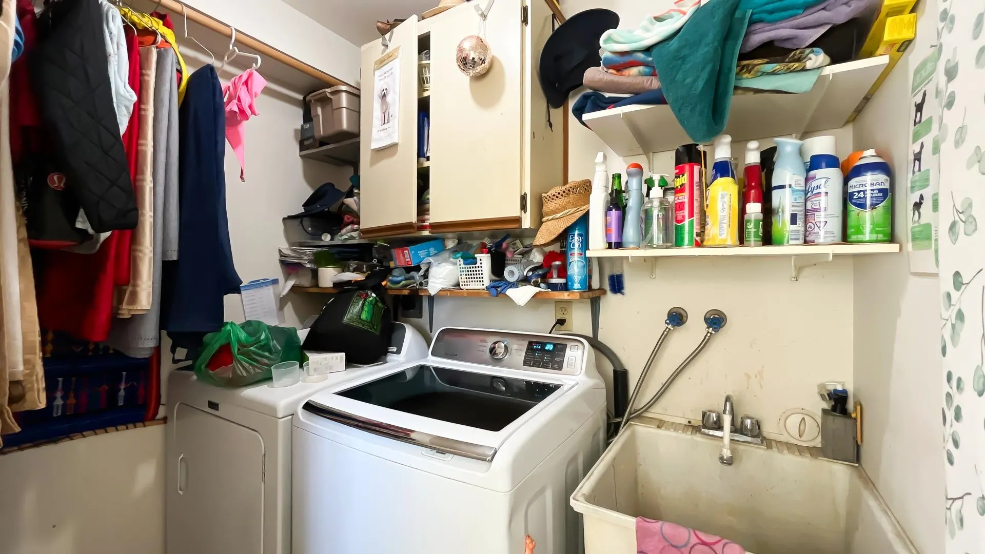 3651 Garibaldi Drive