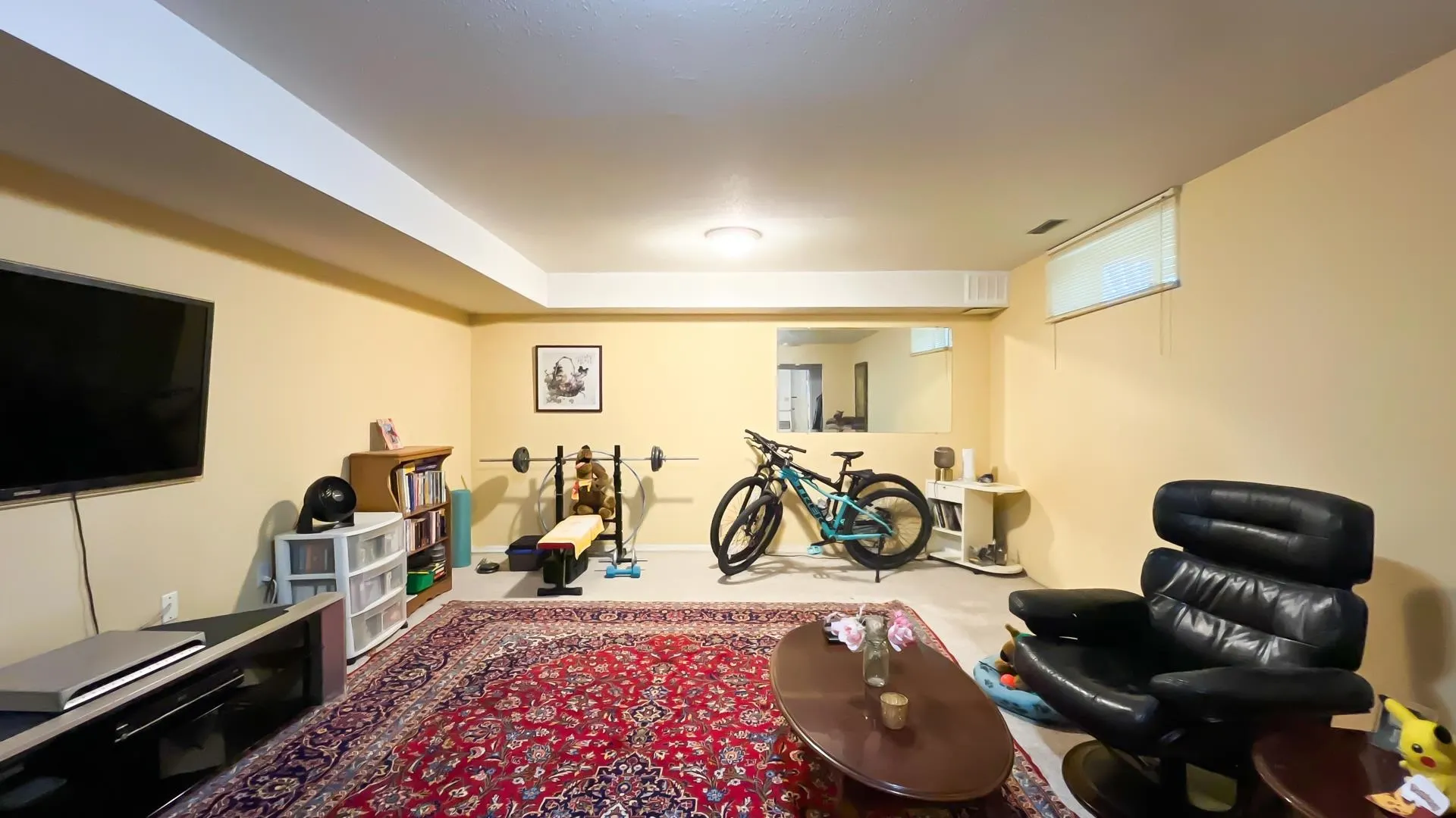 3651 Garibaldi Drive