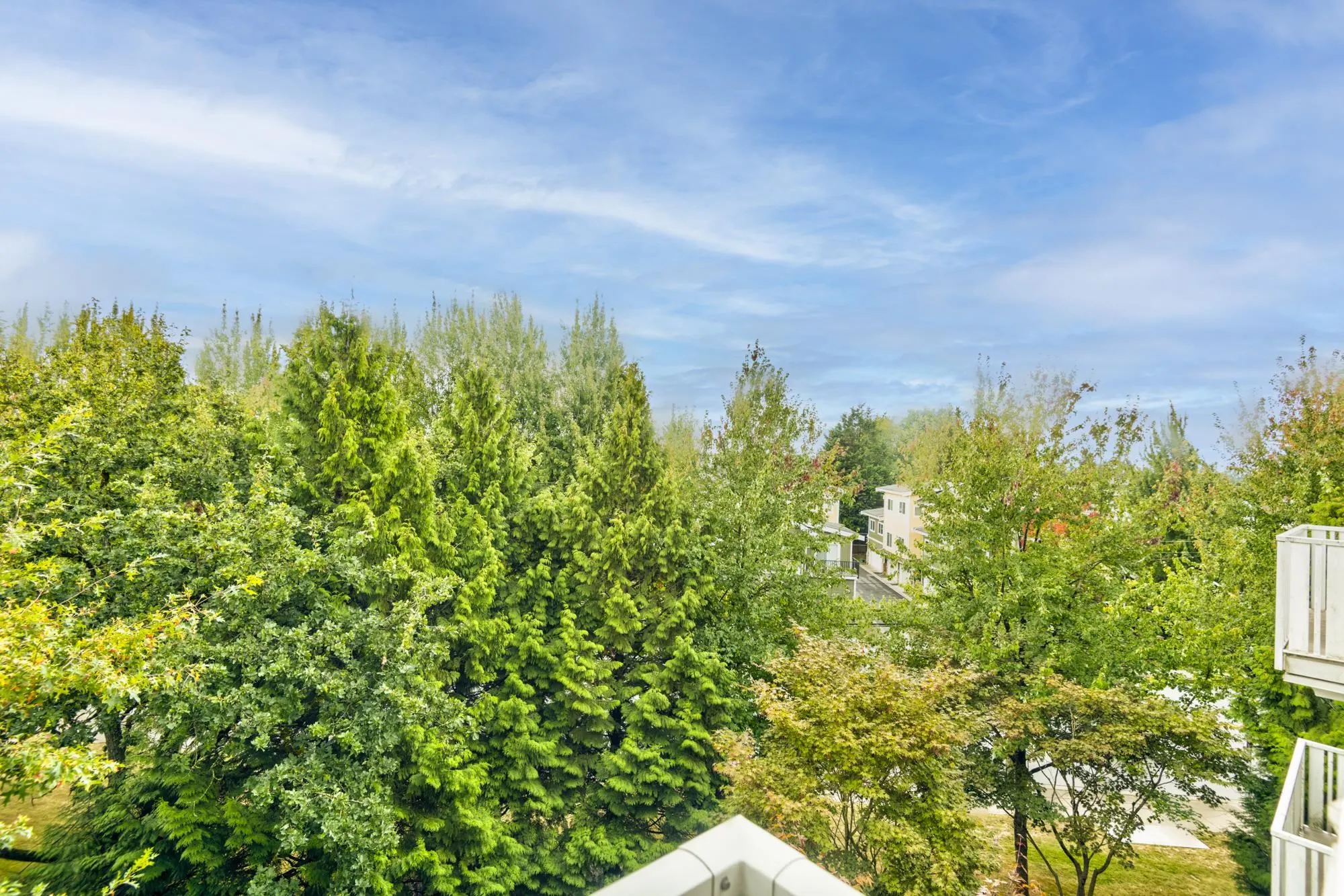 413 8100 Jones Road