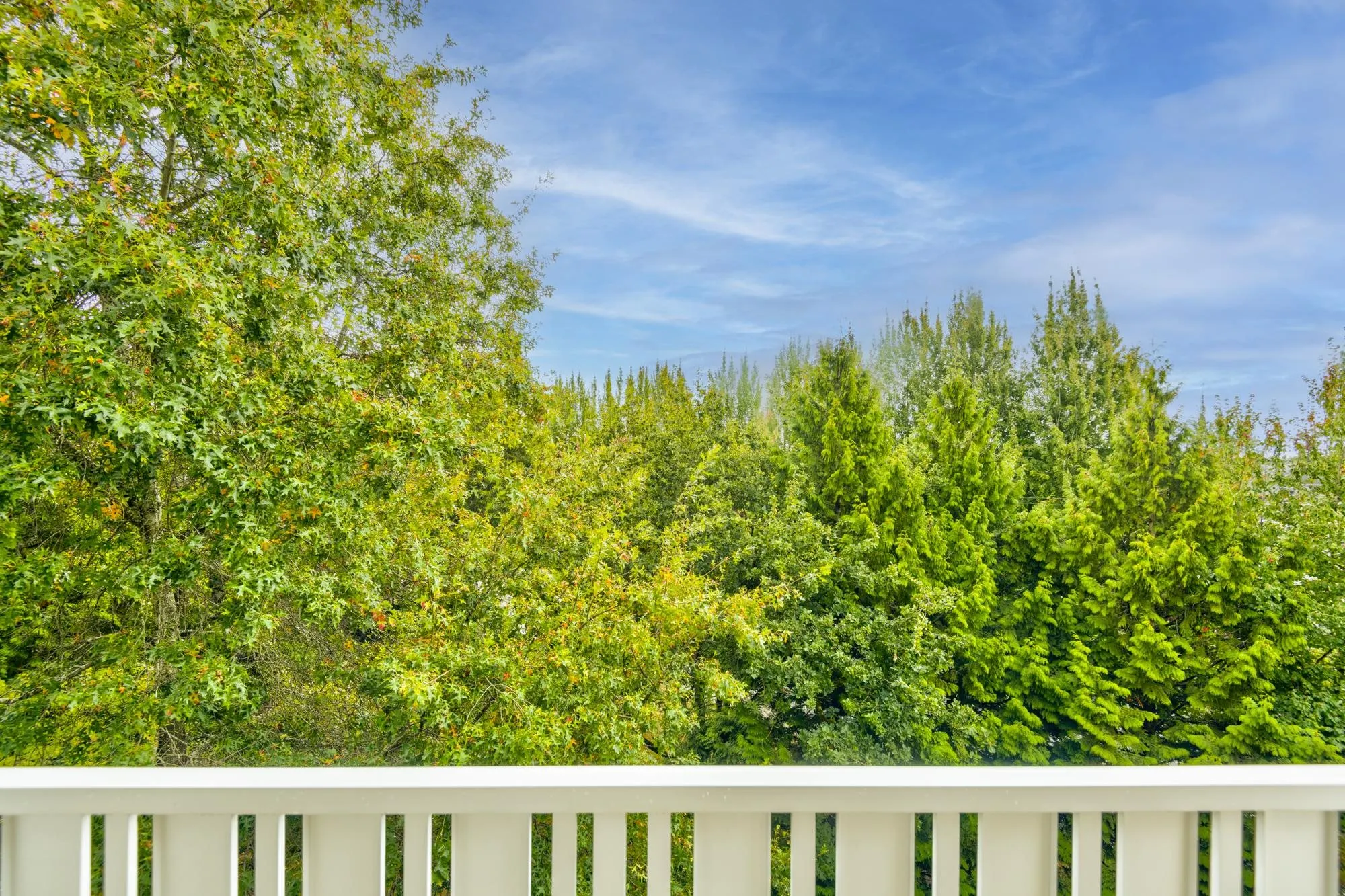 413 8100 Jones Road