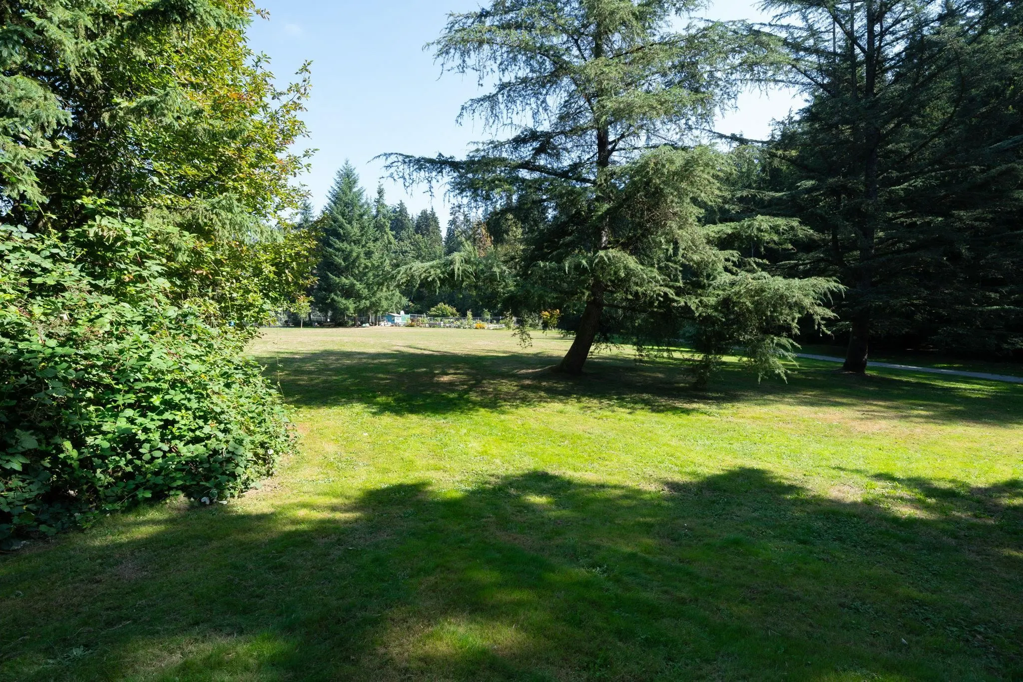 860 Ruckle Court