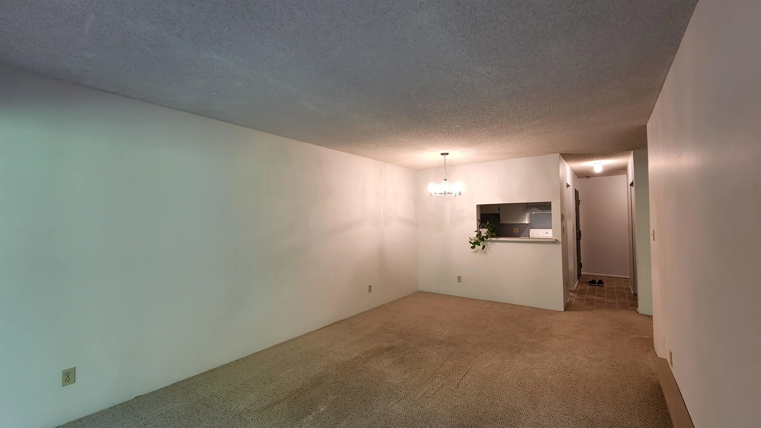 306 8291 Park Road
