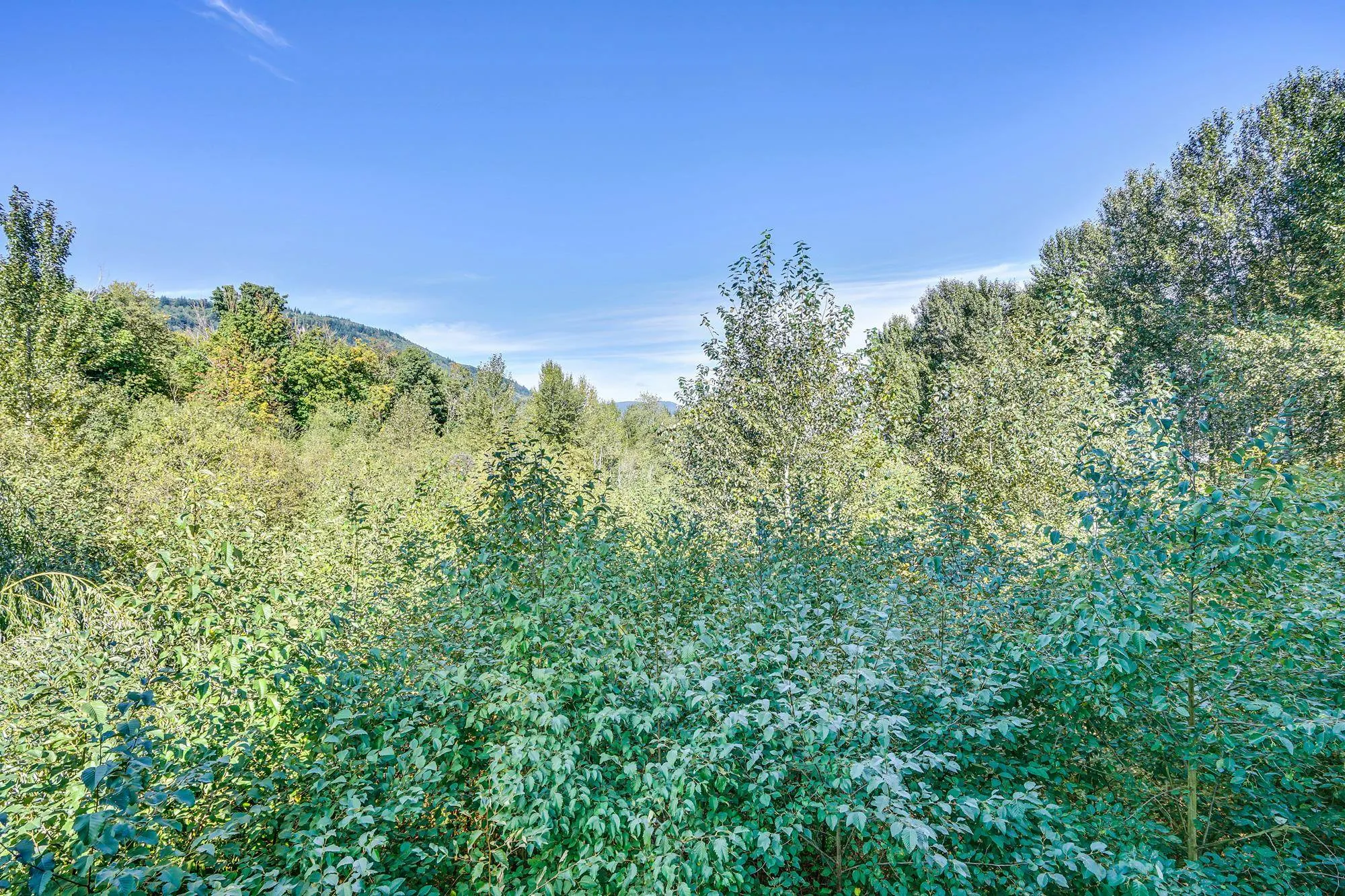 216 2238 Whatcom Road