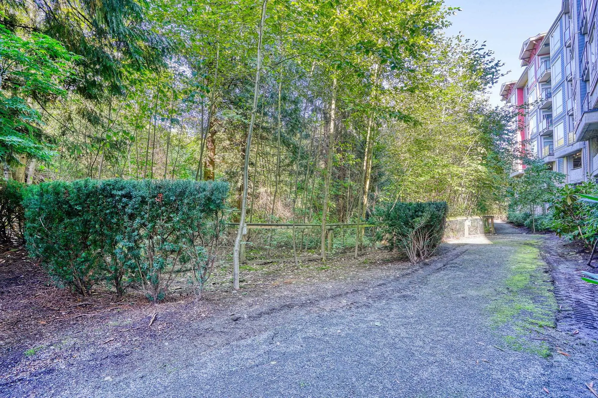 216 2238 Whatcom Road