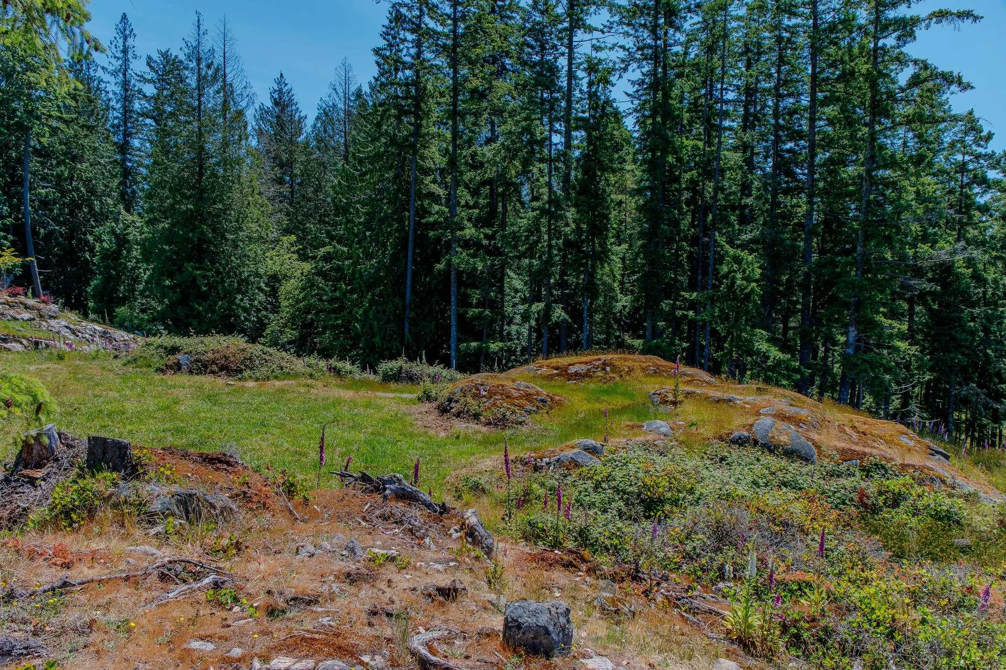 1673 Evergreen Lane
