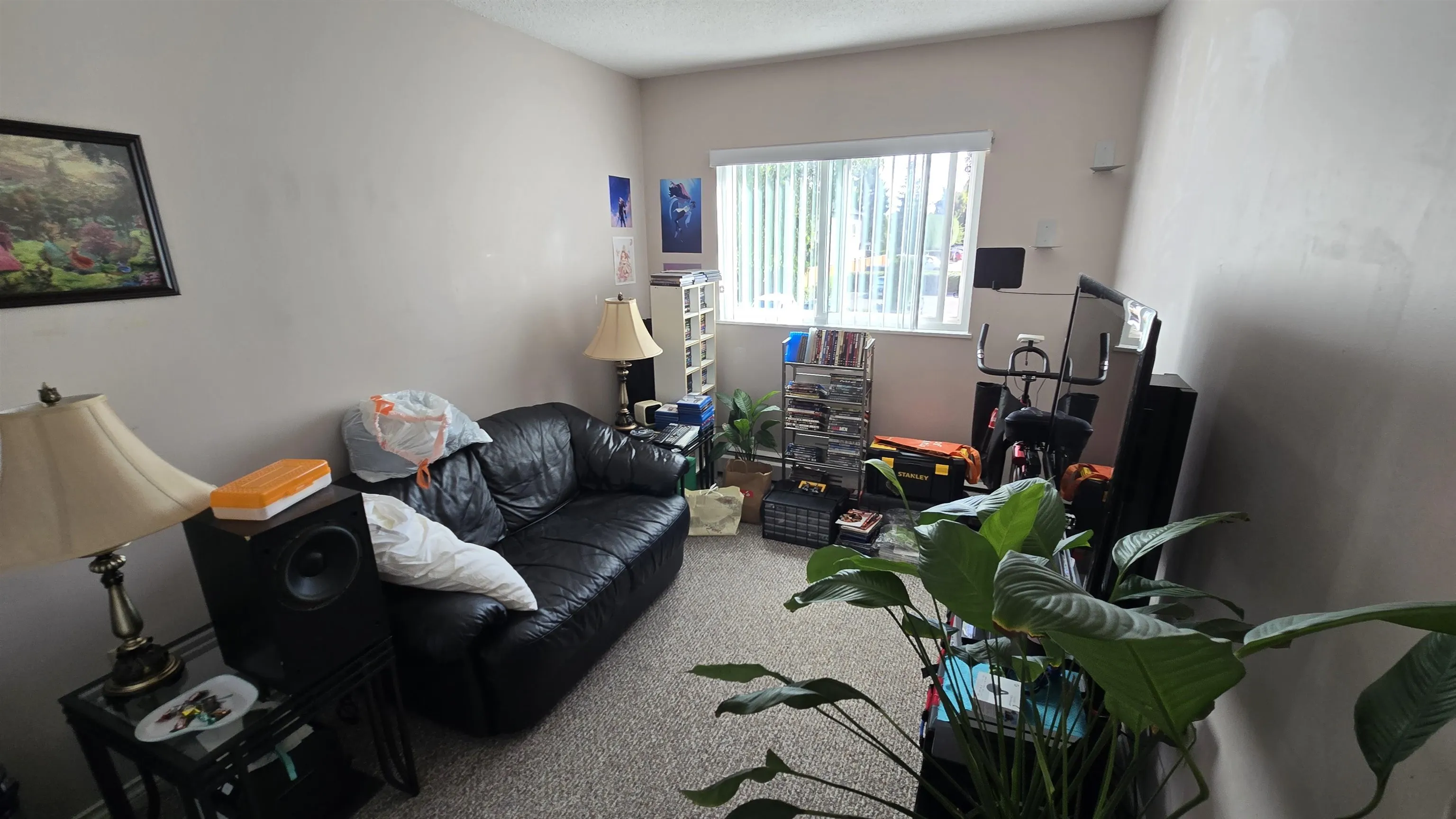 237 8091 Ryan Road
